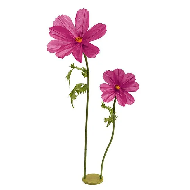 Purple Cosmo (4 Available)