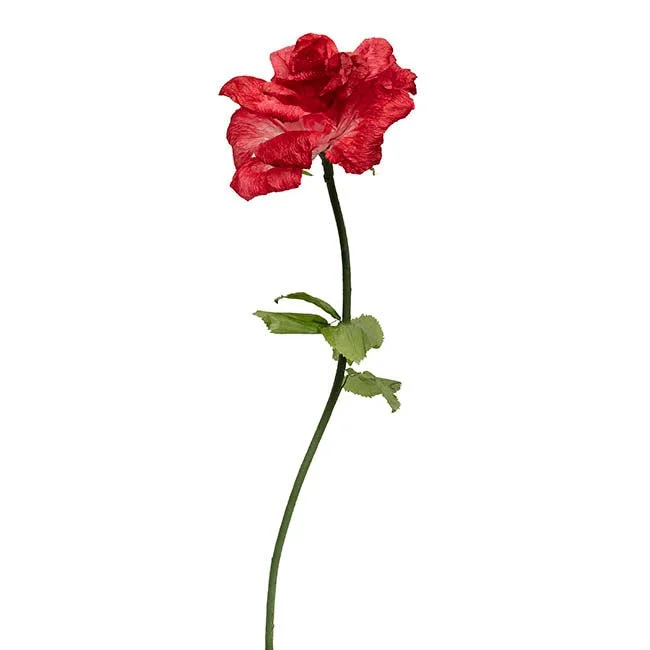 Red Roses (4 Available)