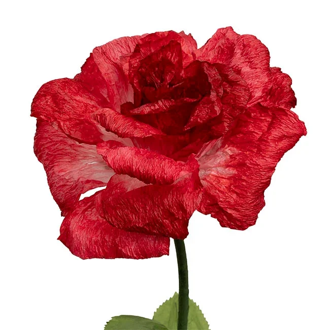 47115029RE_2.jpg.webp