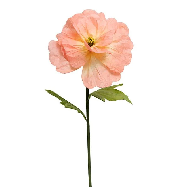 Peach Roses (6 Available)