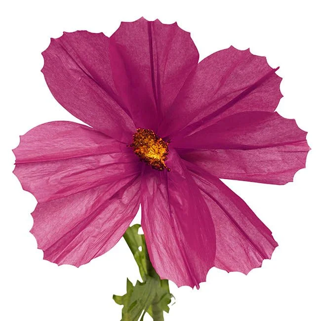 47115044PU_2.jpg
