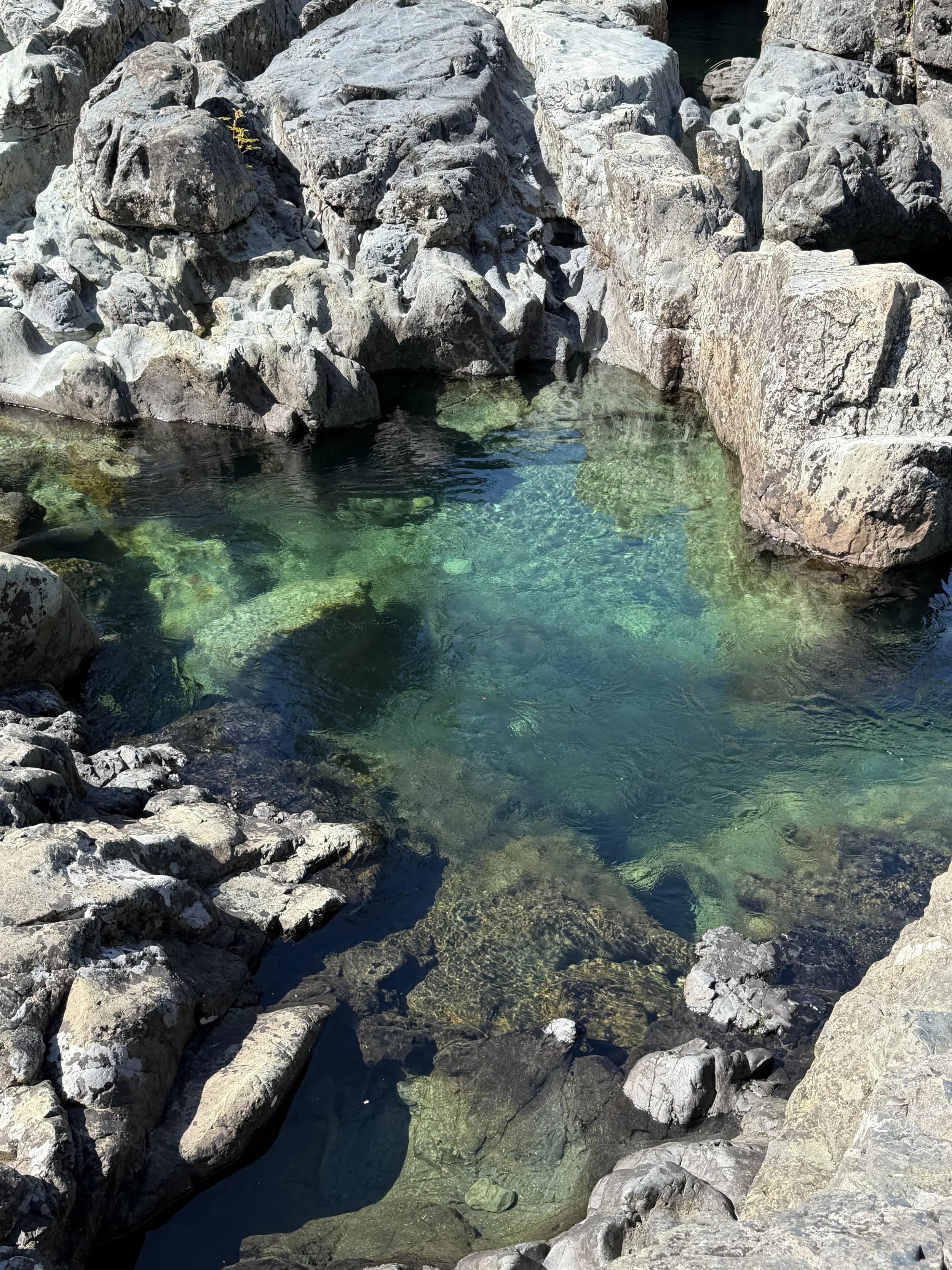 A rocky river or creek with clear, greenish water flowing over and around large gray and brown rocks and boulders.