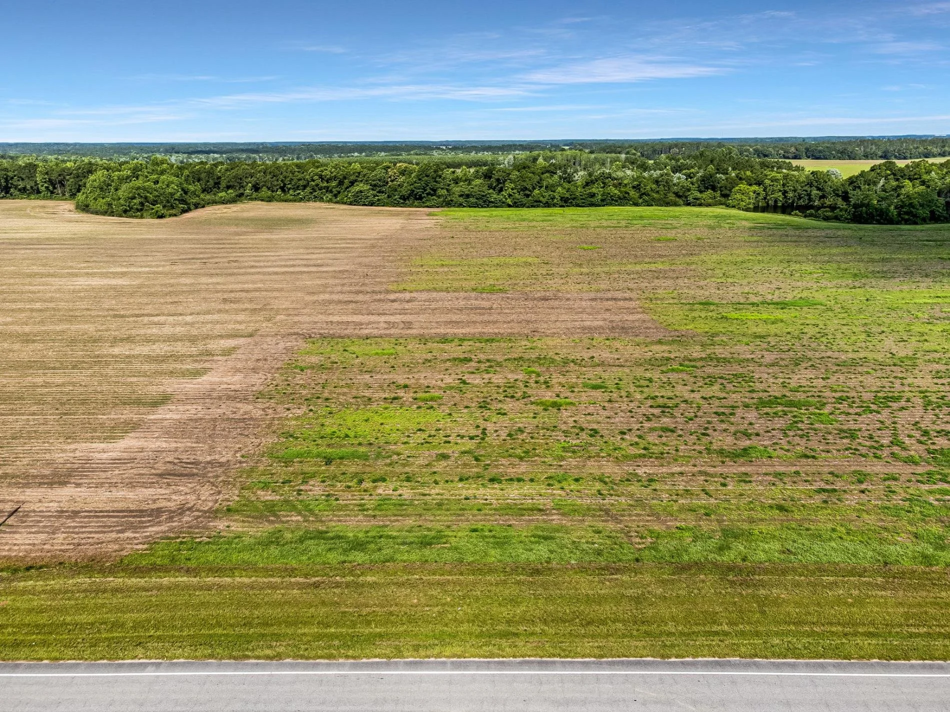 6-web-or-mls-5000-fl-97.jpg