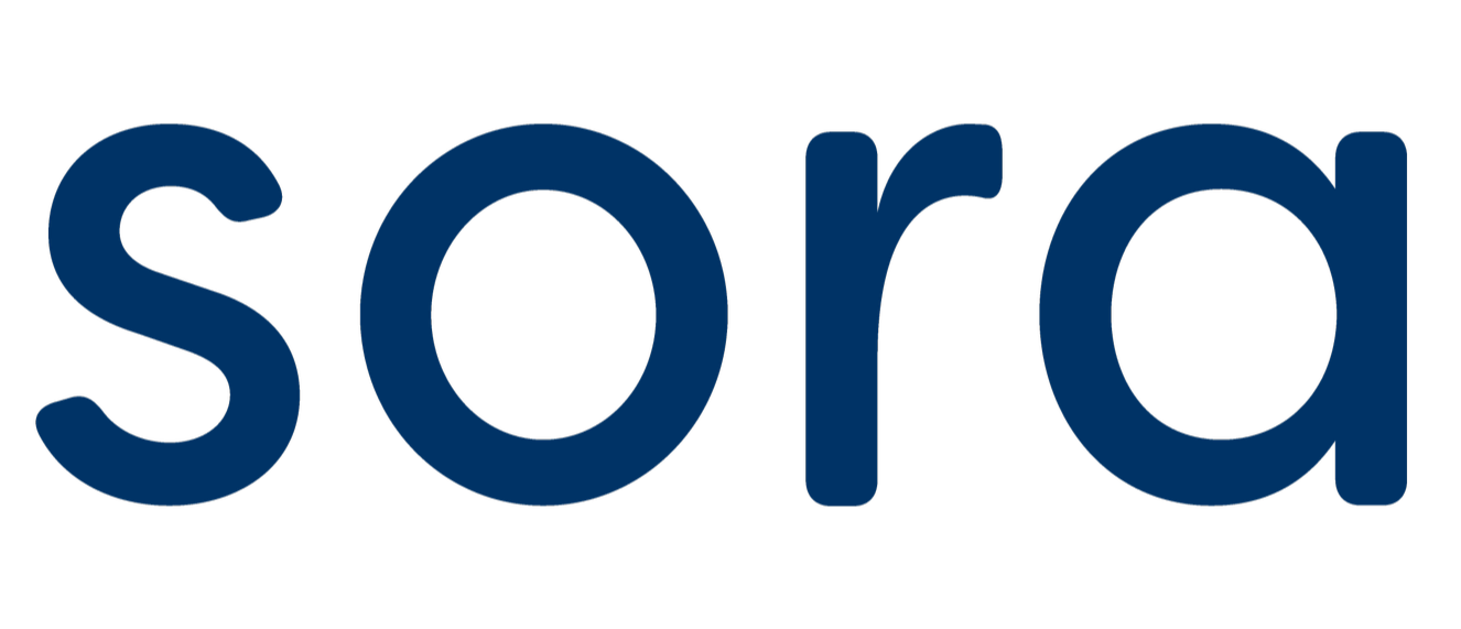 SORA DRINKS CO