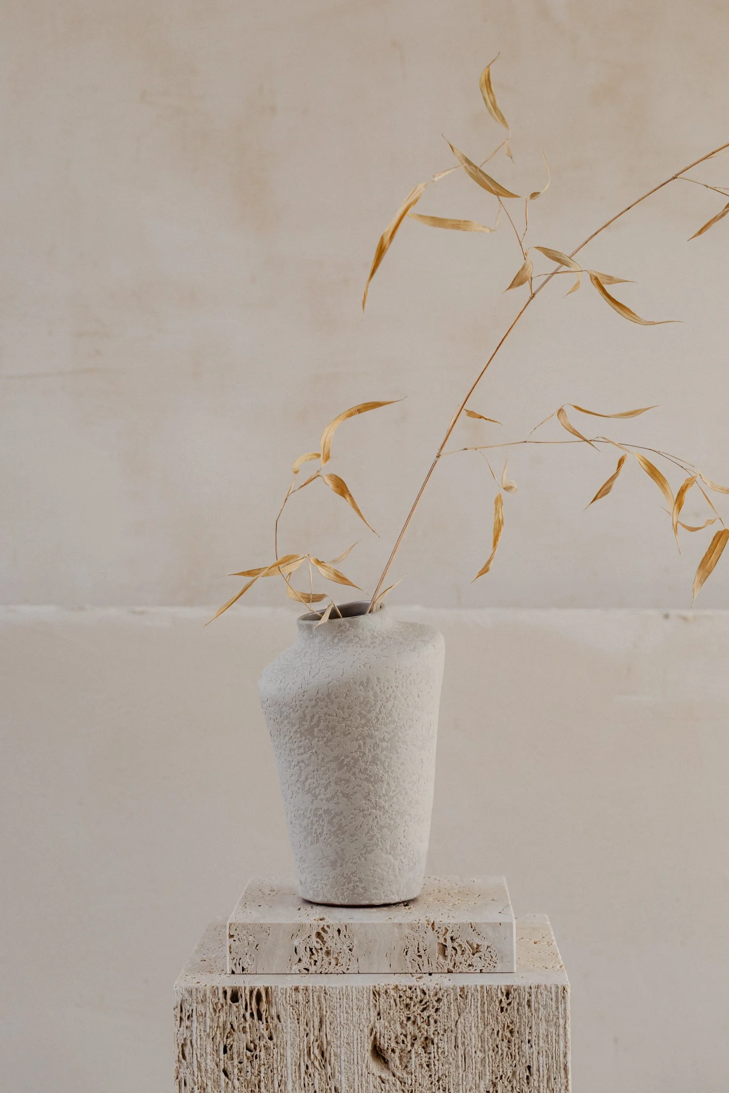 kaboompics_textured-harmony-natural-forms-and-shadows-in-still-life-decor-35233.jpg