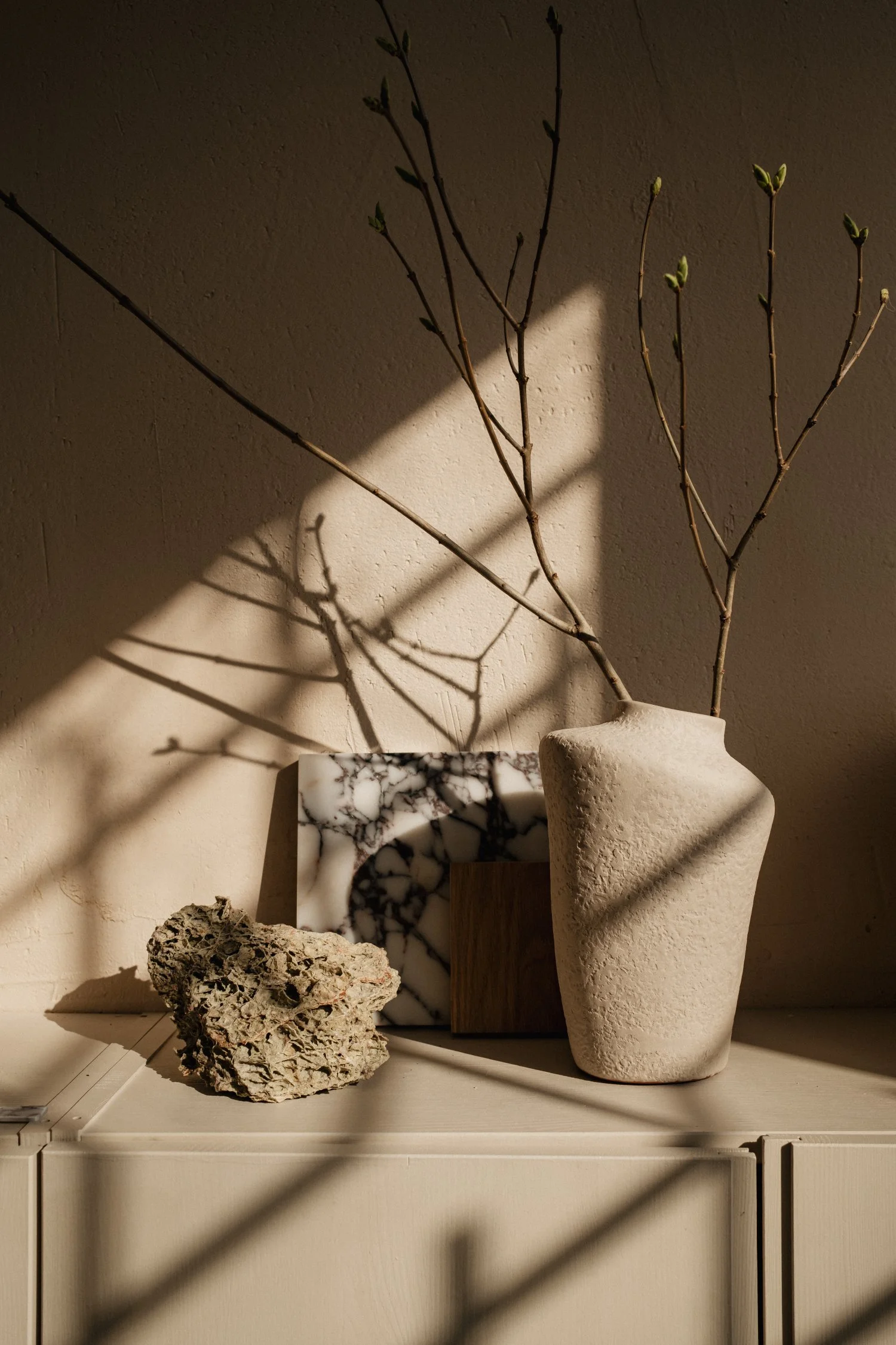 kaboompics_textured-harmony-natural-forms-and-shadows-in-still-life-decor-35207.jpg