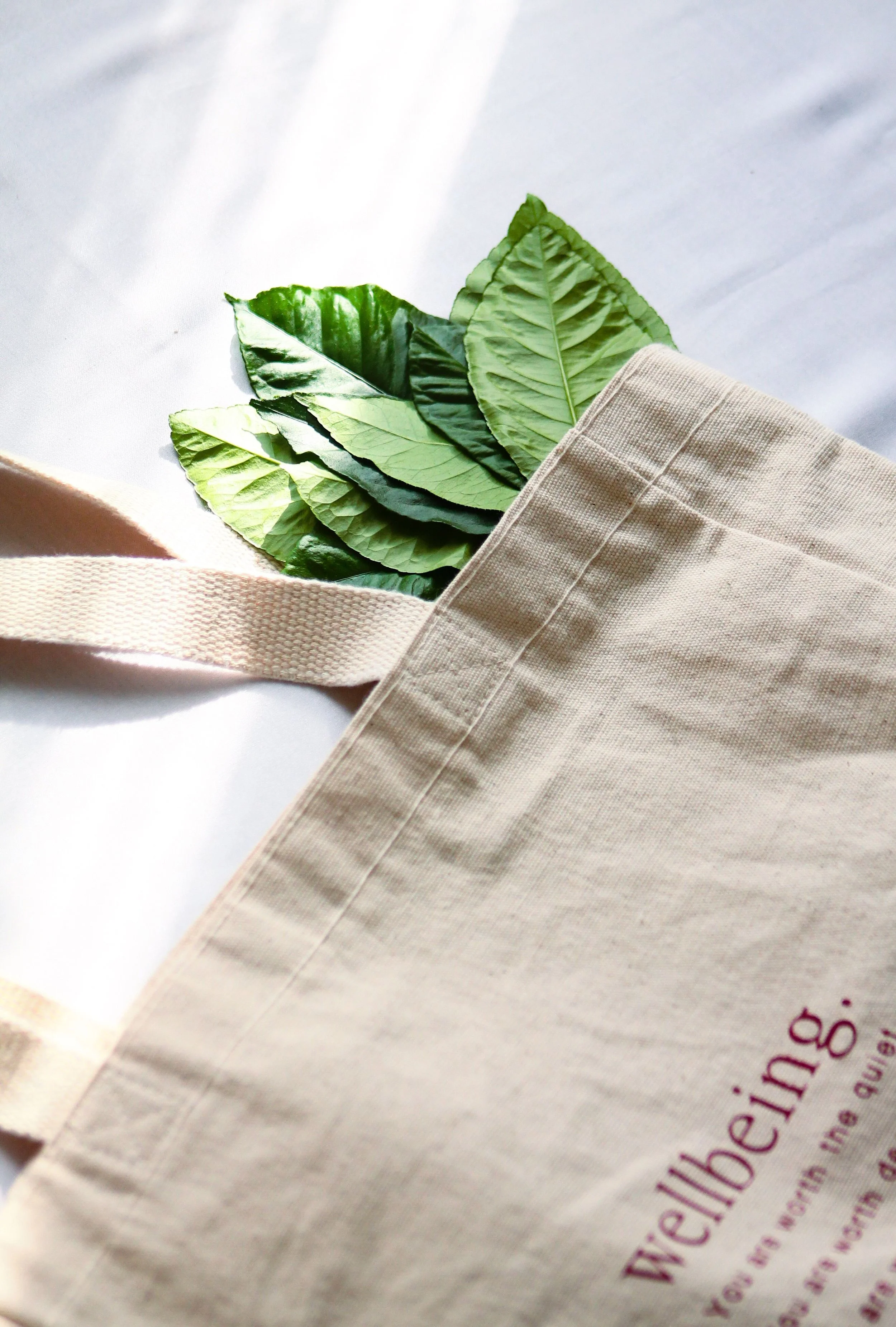 Fresh green leaves partially inside a beige cloth bag on a white surface.