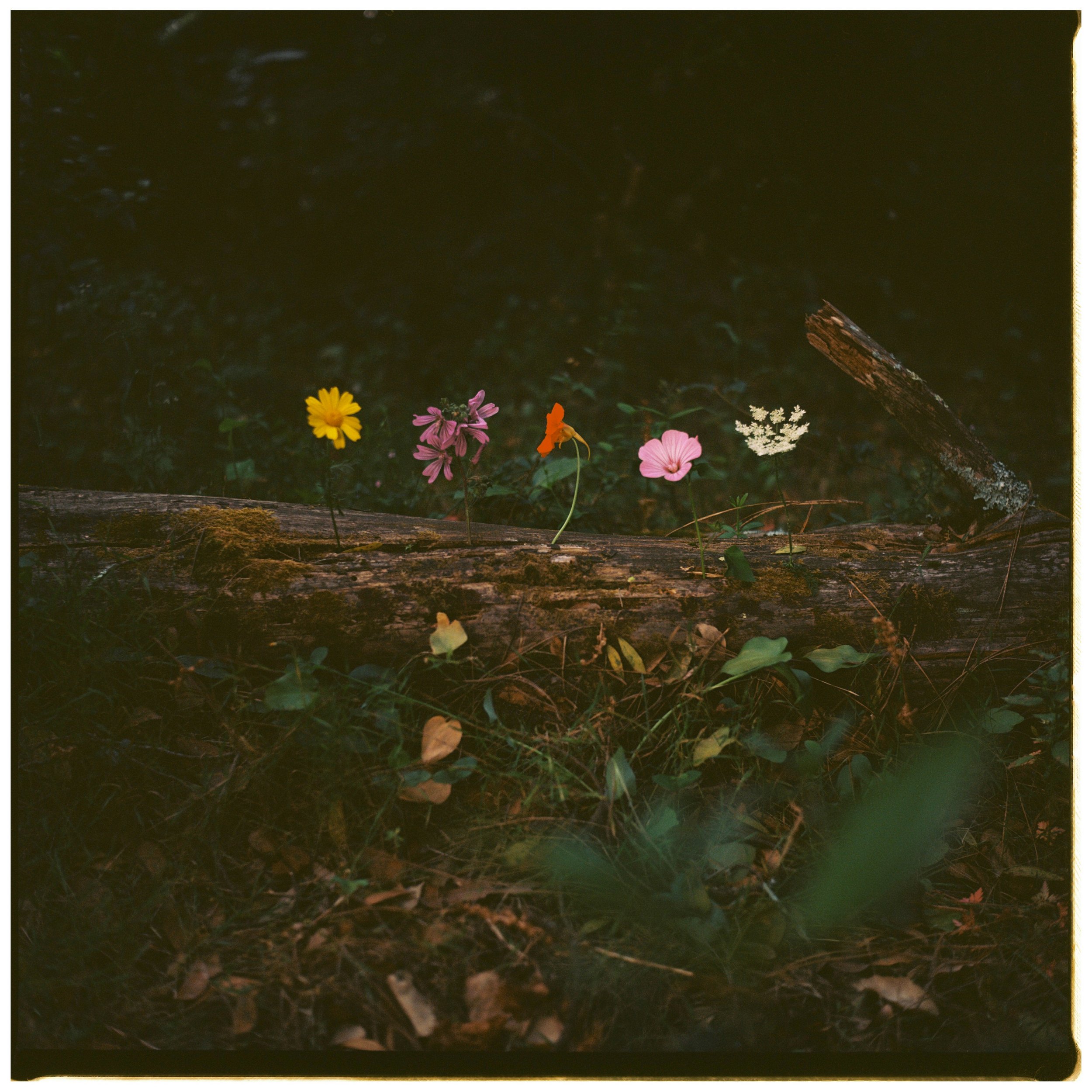 10-The Shape of Time - Lucia Alonso..jpg