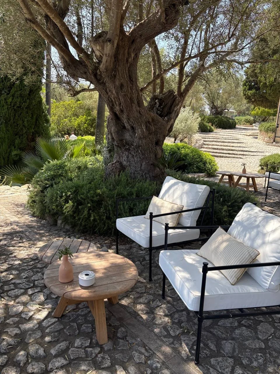 Gemütliche Sitzecke mit zwei weißen Sofas und einem kleinen runden Holztisch unter einem großen Baum in einem gepflegten Garten, mit Steinstufen im Hintergrund.