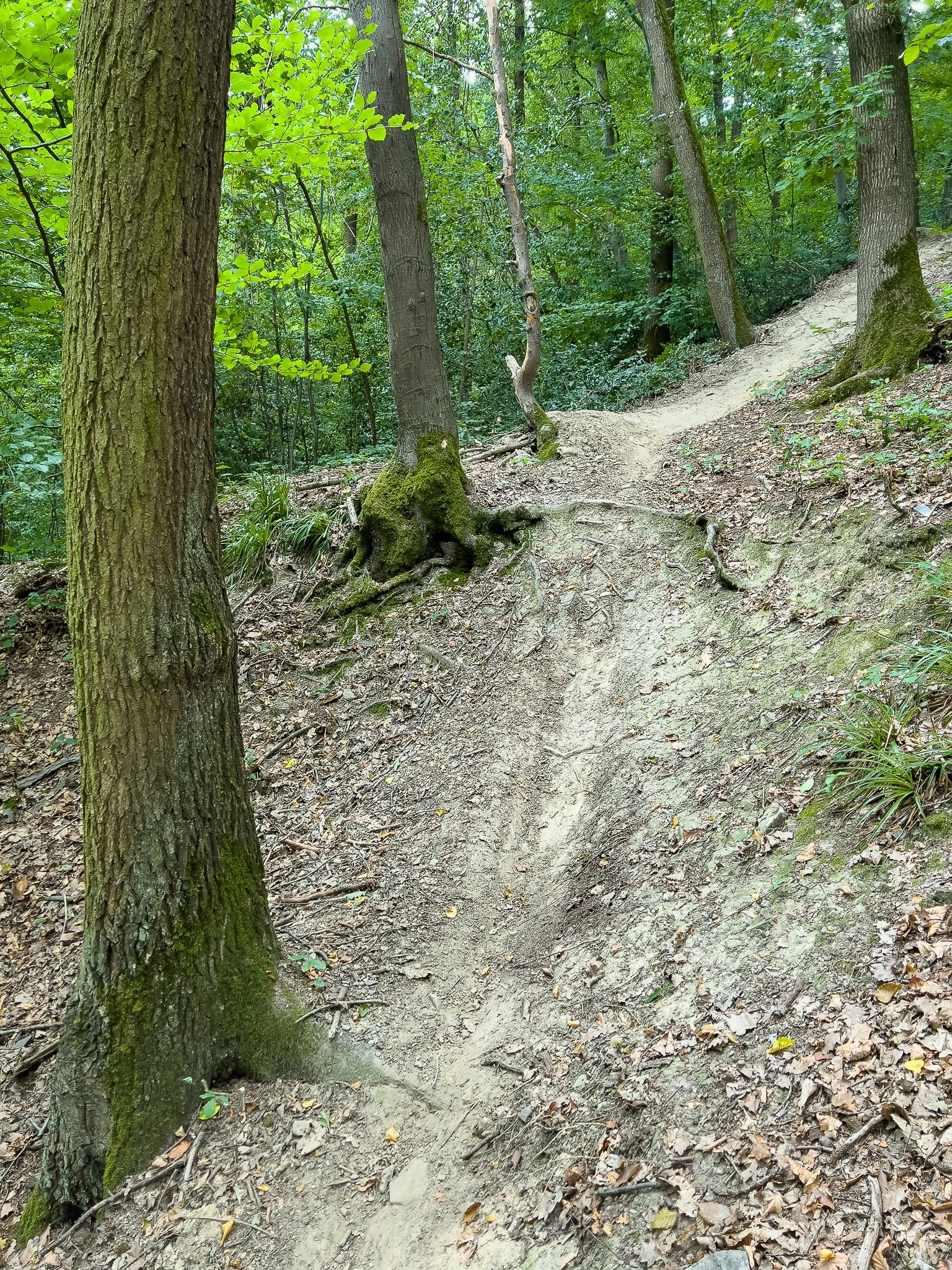 IMG_4258.jpg