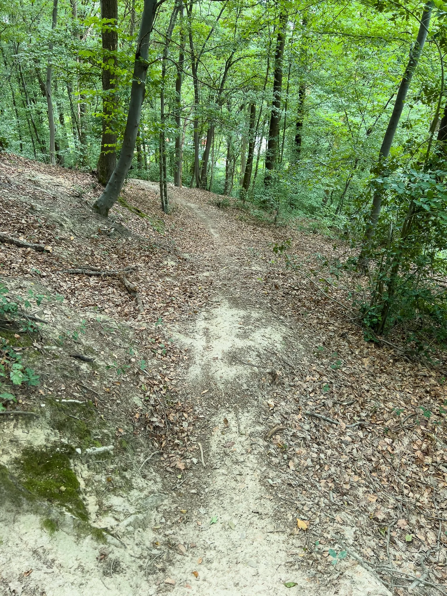 IMG_4263.jpg