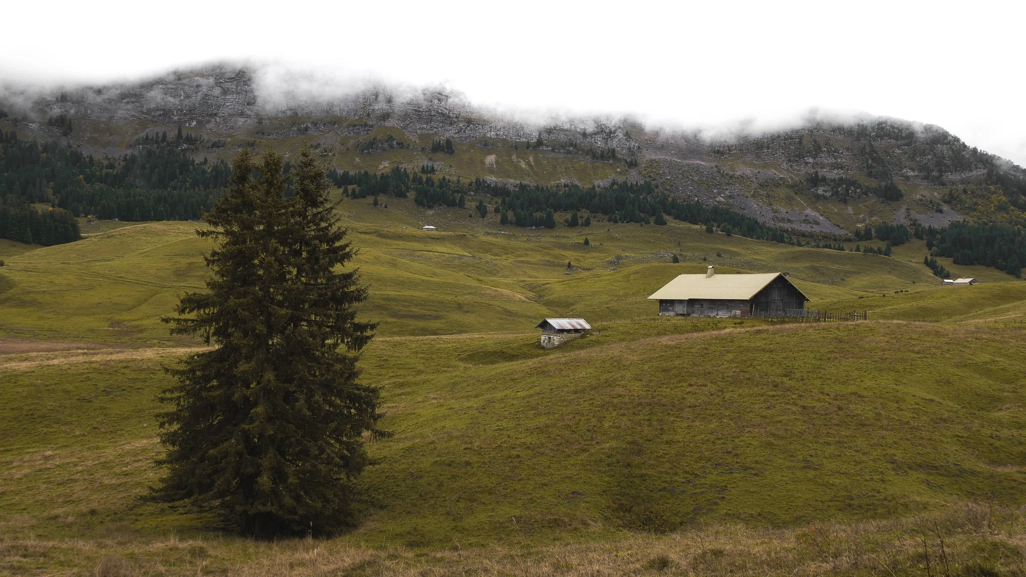 Pavage de champs verdoyants avec une grande ferme en bois, un petit bâtiment, des arbres, et des montagnes en arrière-plan, partiellement couverte de nuages.