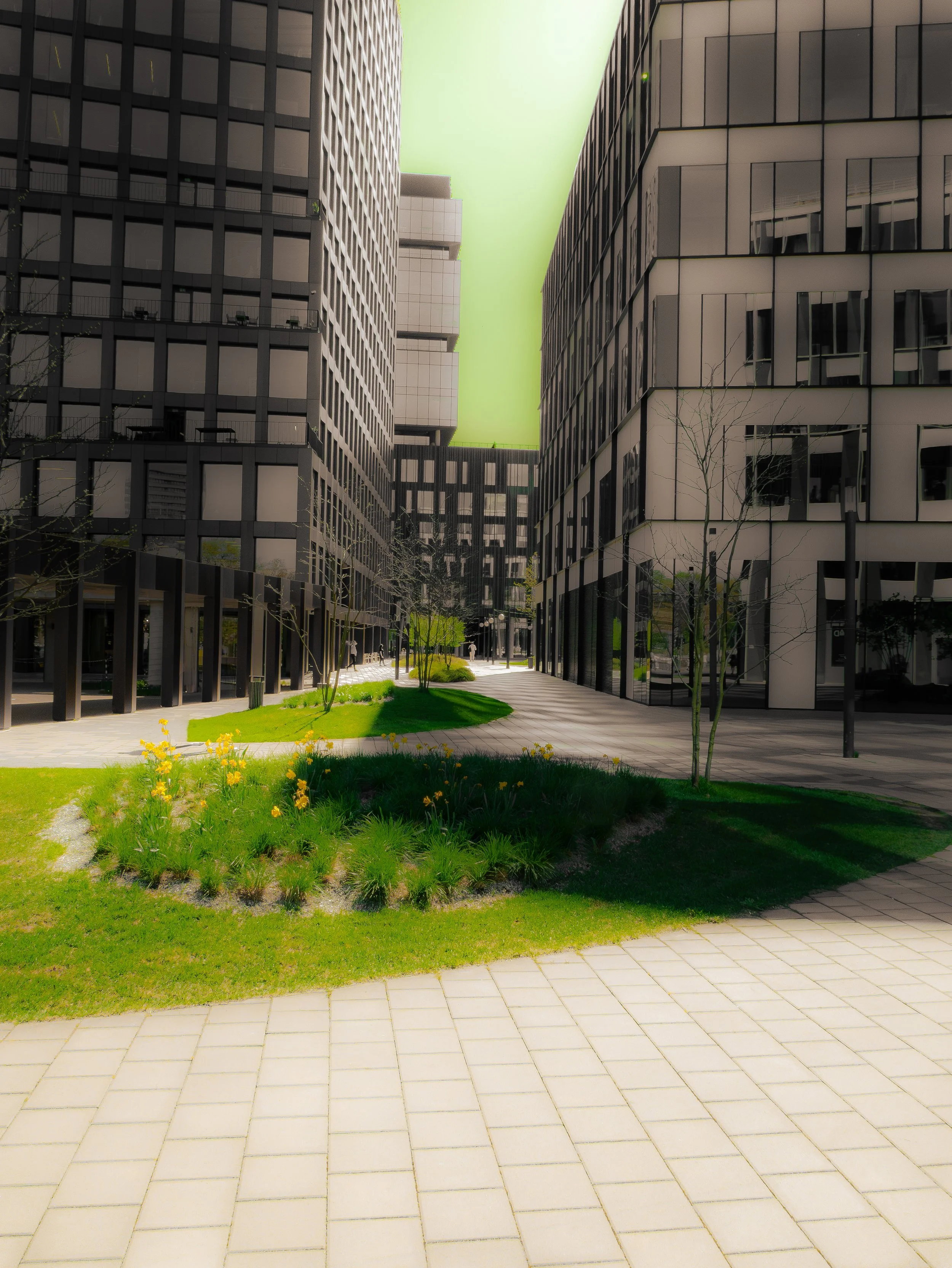 Vue d'une allée entre deux immeubles modernes en verre et en béton, avec un espace vert planté d'arbres et de fleurs, sous un ciel vert clair.