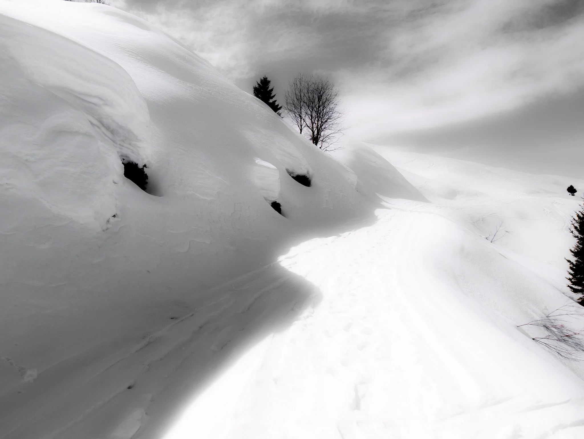 Paysage enneigé avec des collines recouvertes de neige, ombre des collines en zigzag sur le sol, deux arbres nus et un arbre à feuilles, ciel nuageux.