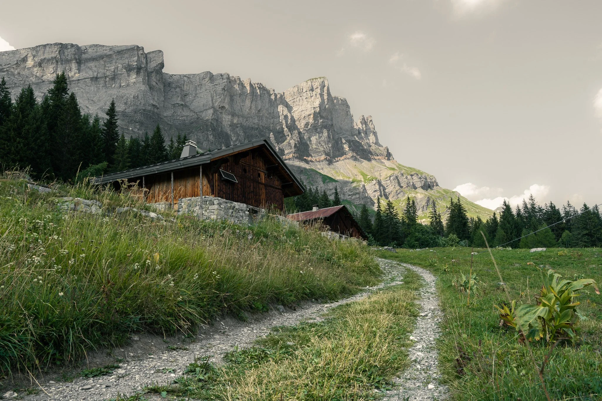 Chemin de terre bordé d'herbes hautes, menant à une maison en bois avec un toit en tôle, située dans un paysage de montagnes rocheuses avec des forêts de conifères et un ciel nuageux.