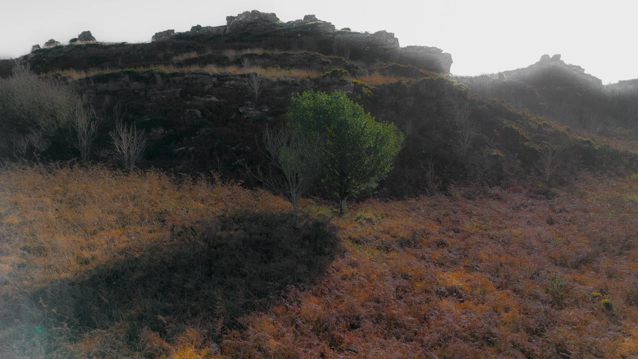 Une colline recouverte de végétation avec trois arbres verts au premier plan, et des formations rocheuses en arrière-plan, sous un ciel brumeux.