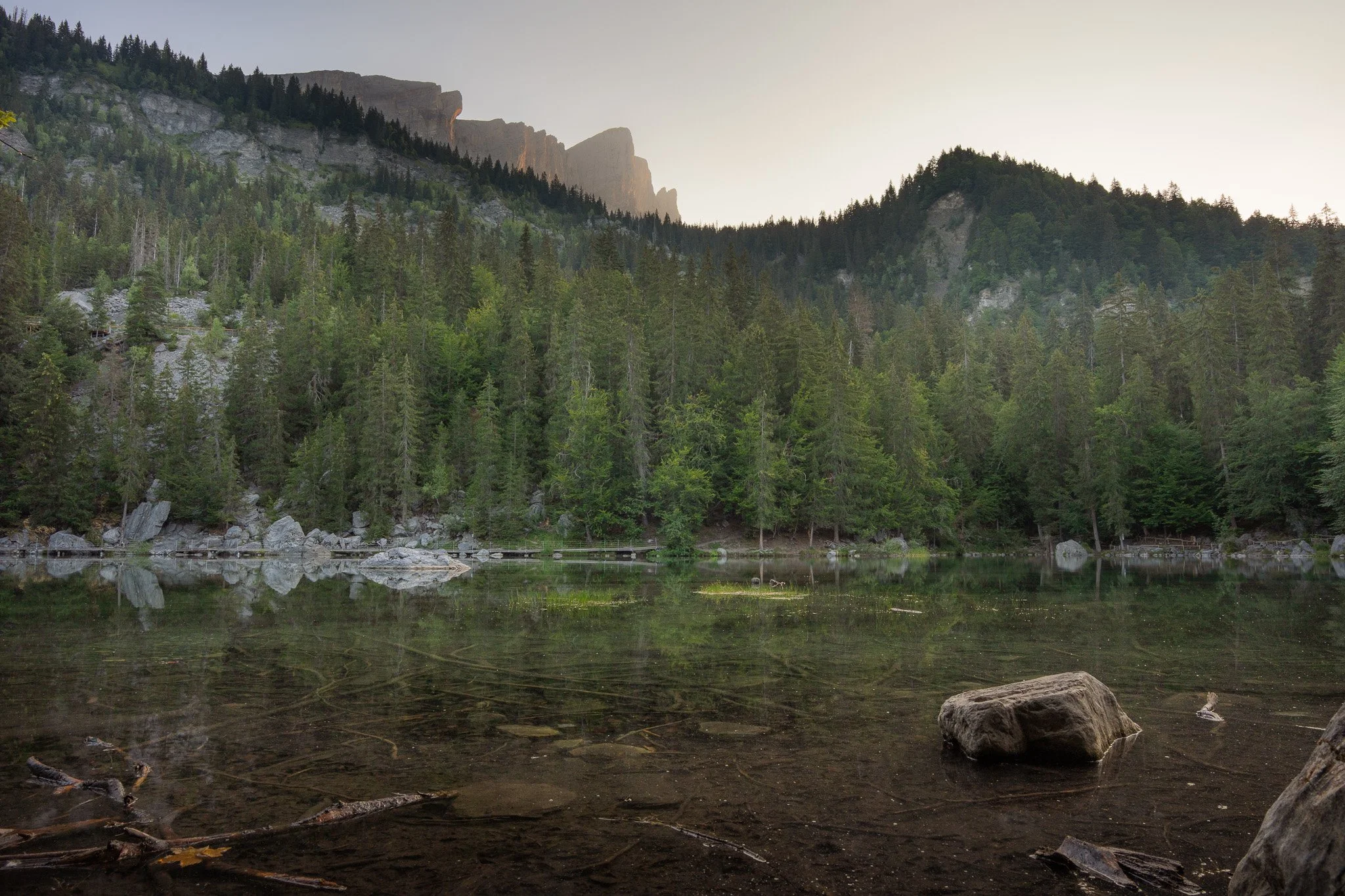 Vue panoramique d'un lac calme entouré d'une forêt dense de conifères et de montagnes rocheuses au loin, au crépuscule.