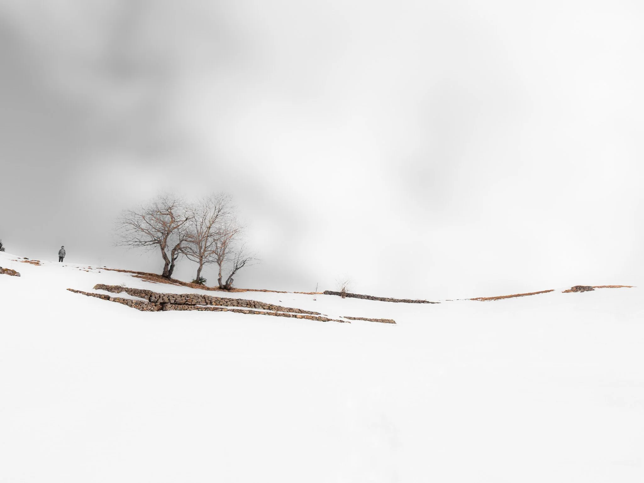 Hiver dans un paysage enneigé avec quelques arbres dénudés et un homme marchant au loin.