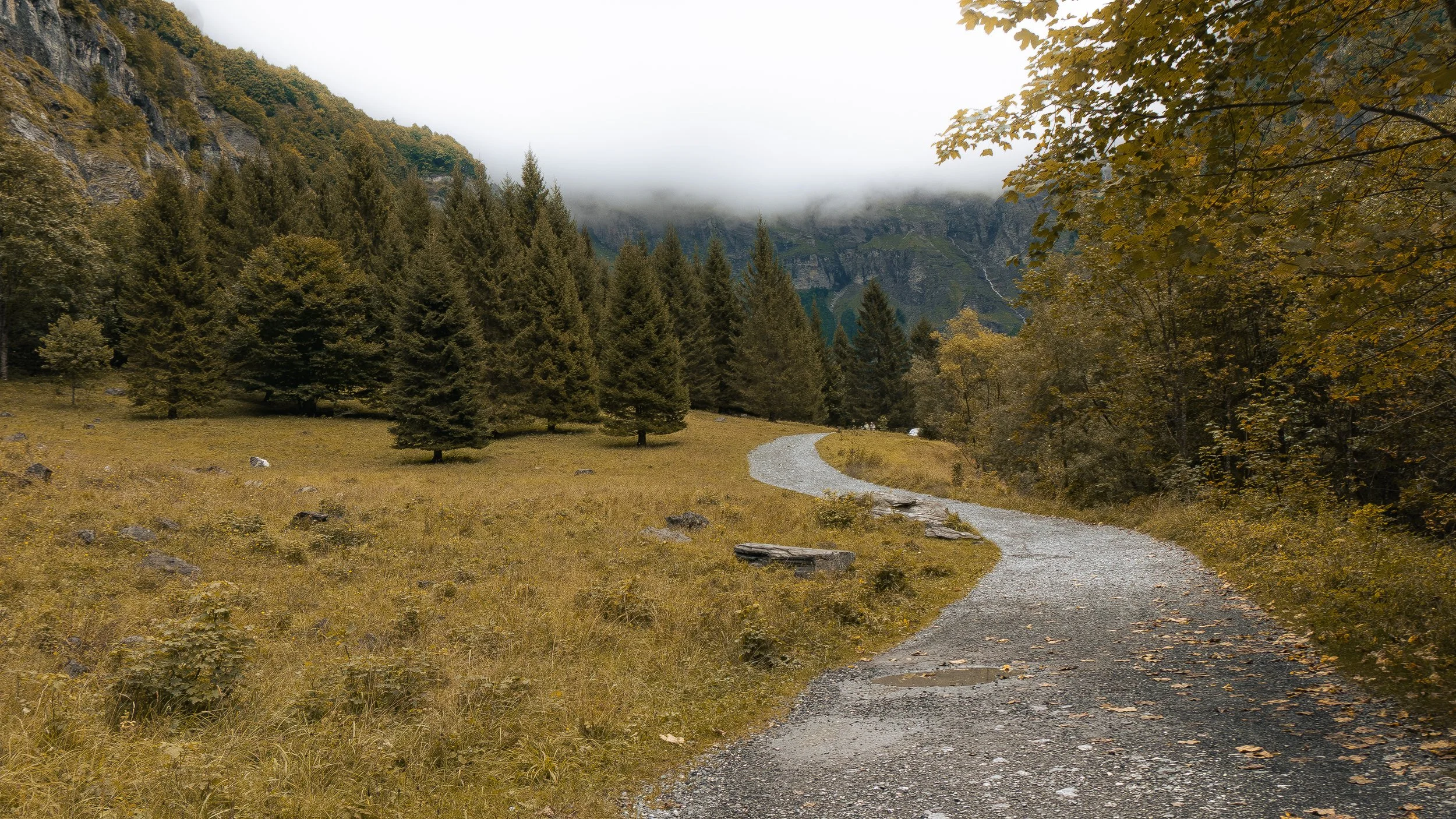 Chemin sinueux dans un paysage de montagnes avec des arbres verts et des nuages au sommet.