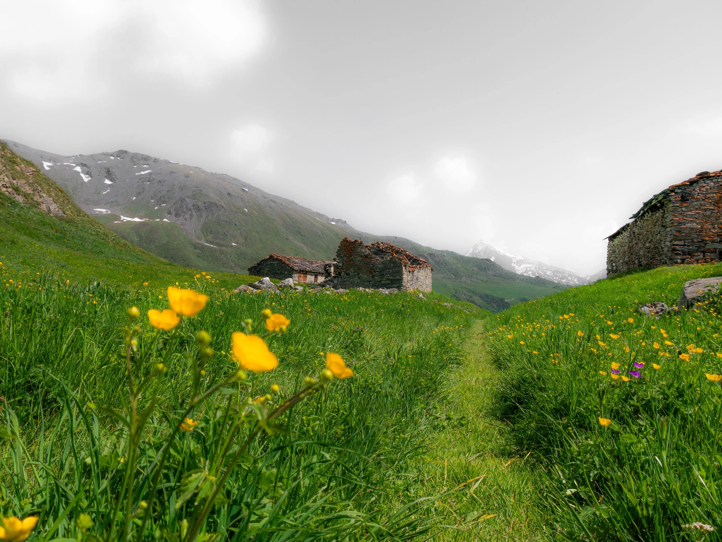 Paysage de montagne avec ruines en pierre, herbe verte, fleurs jaunes, et montagnes enneigées en arrière-plan sous un ciel nuageux.
