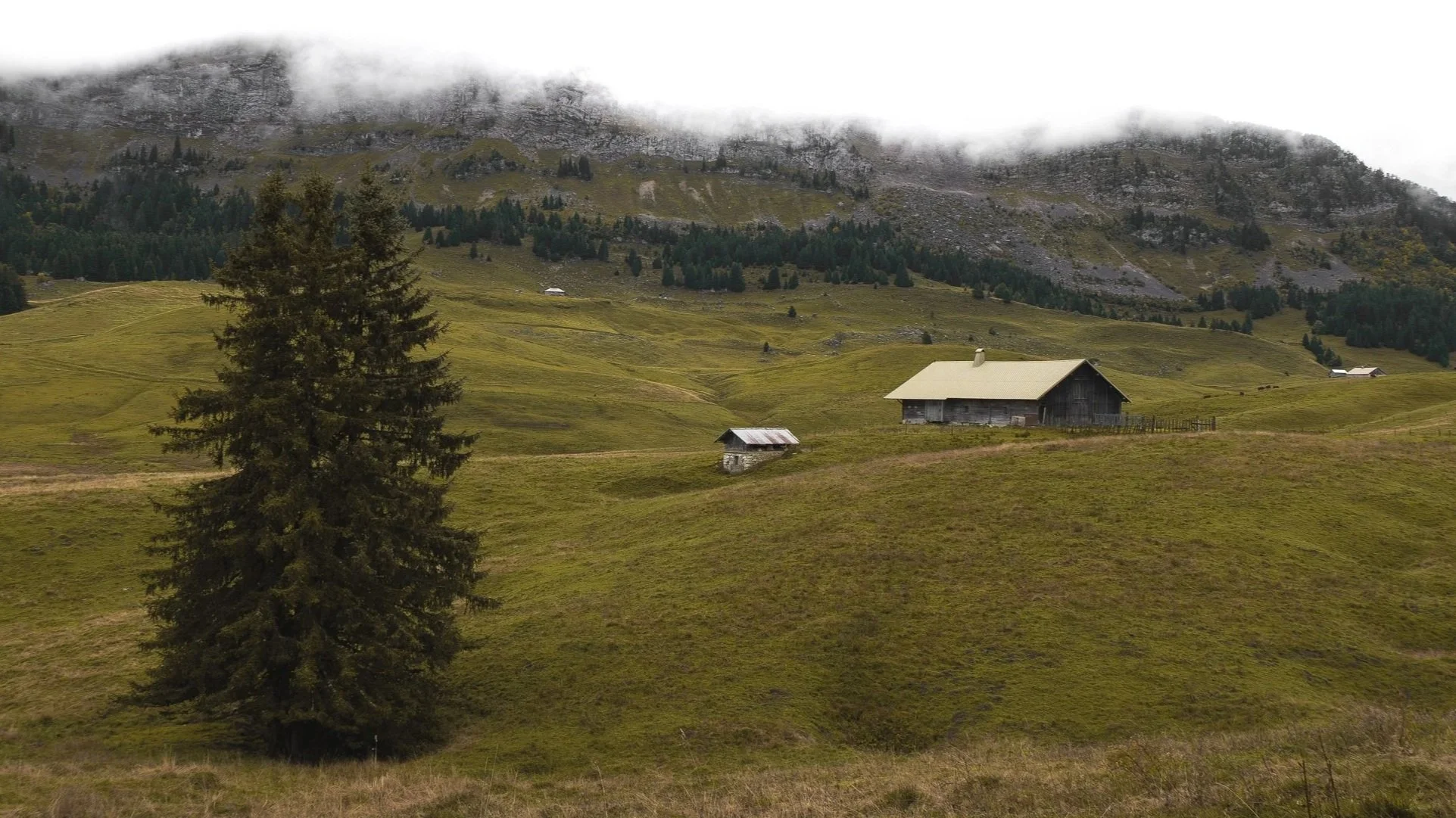 Paysage de montagnes avec une maison en bois, des petits cabanons, un grand arbre et des collines verdoyantes sous un ciel nuageux.