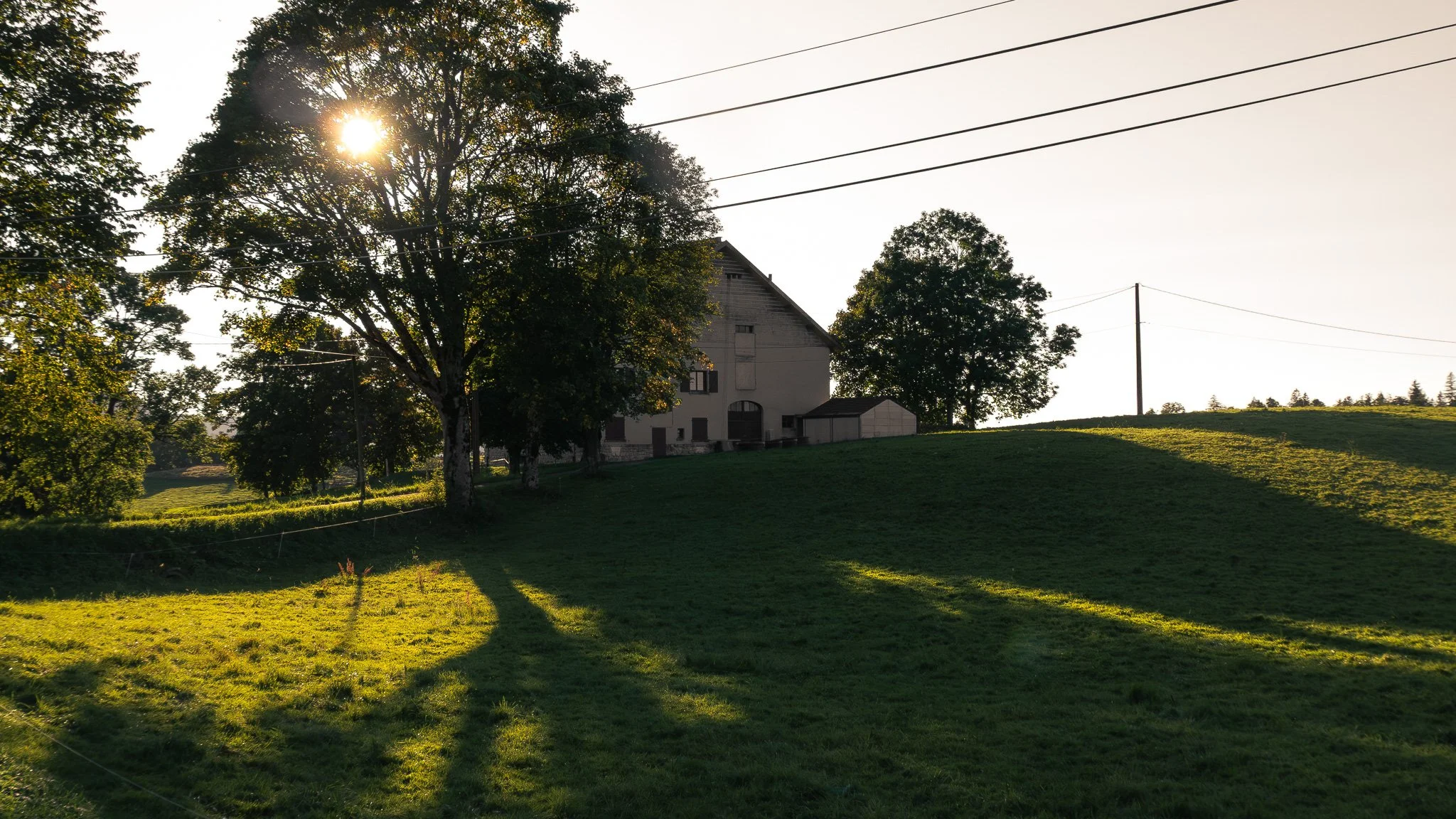 Paysage rurale avec un bâtiment, des arbres, de l'herbe et un ciel clair, ensoleillé.
