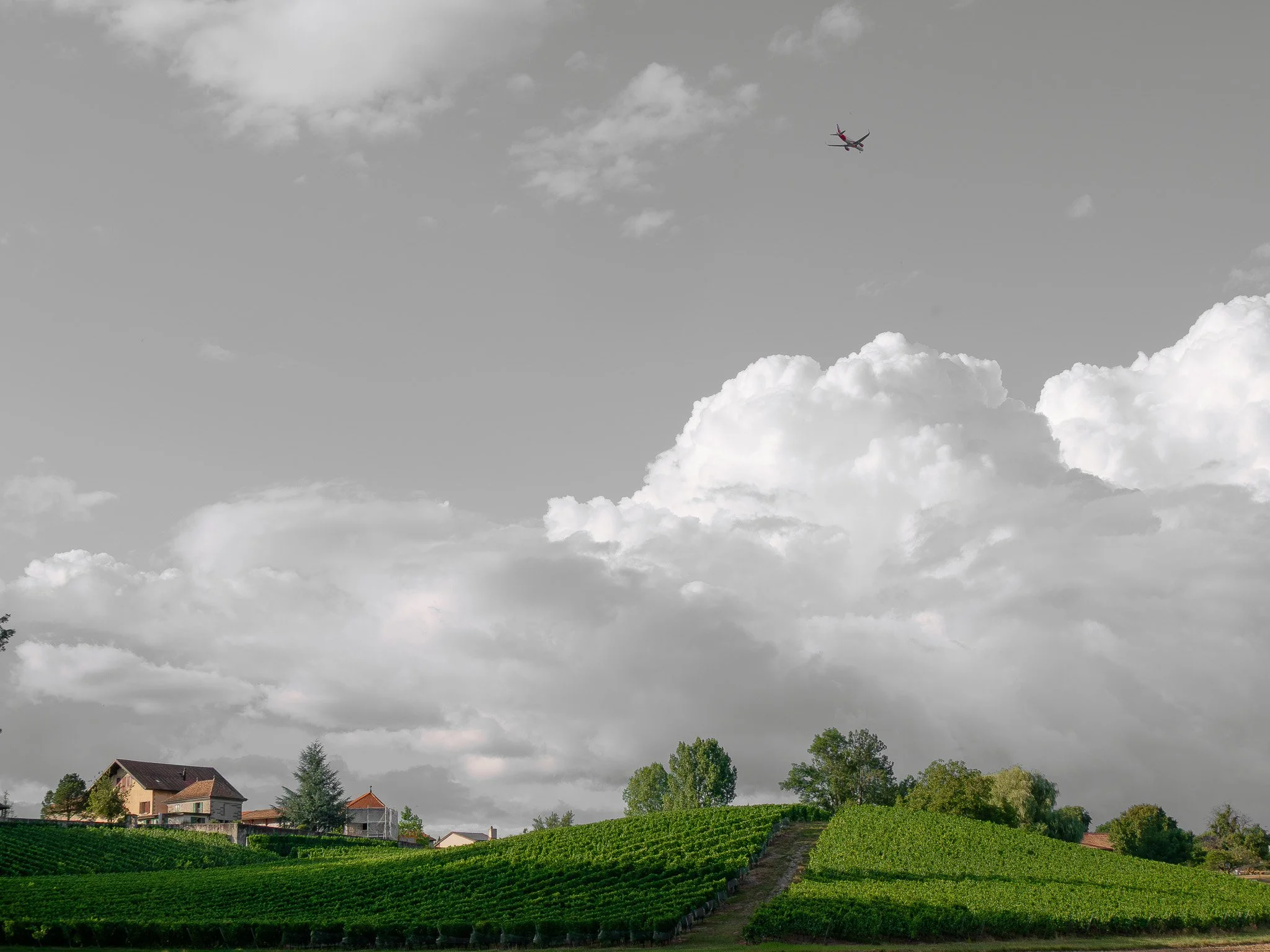 Paysage rural avec des maisons, des arbres et une vigne, ciel nuageux avec un avion en vol.