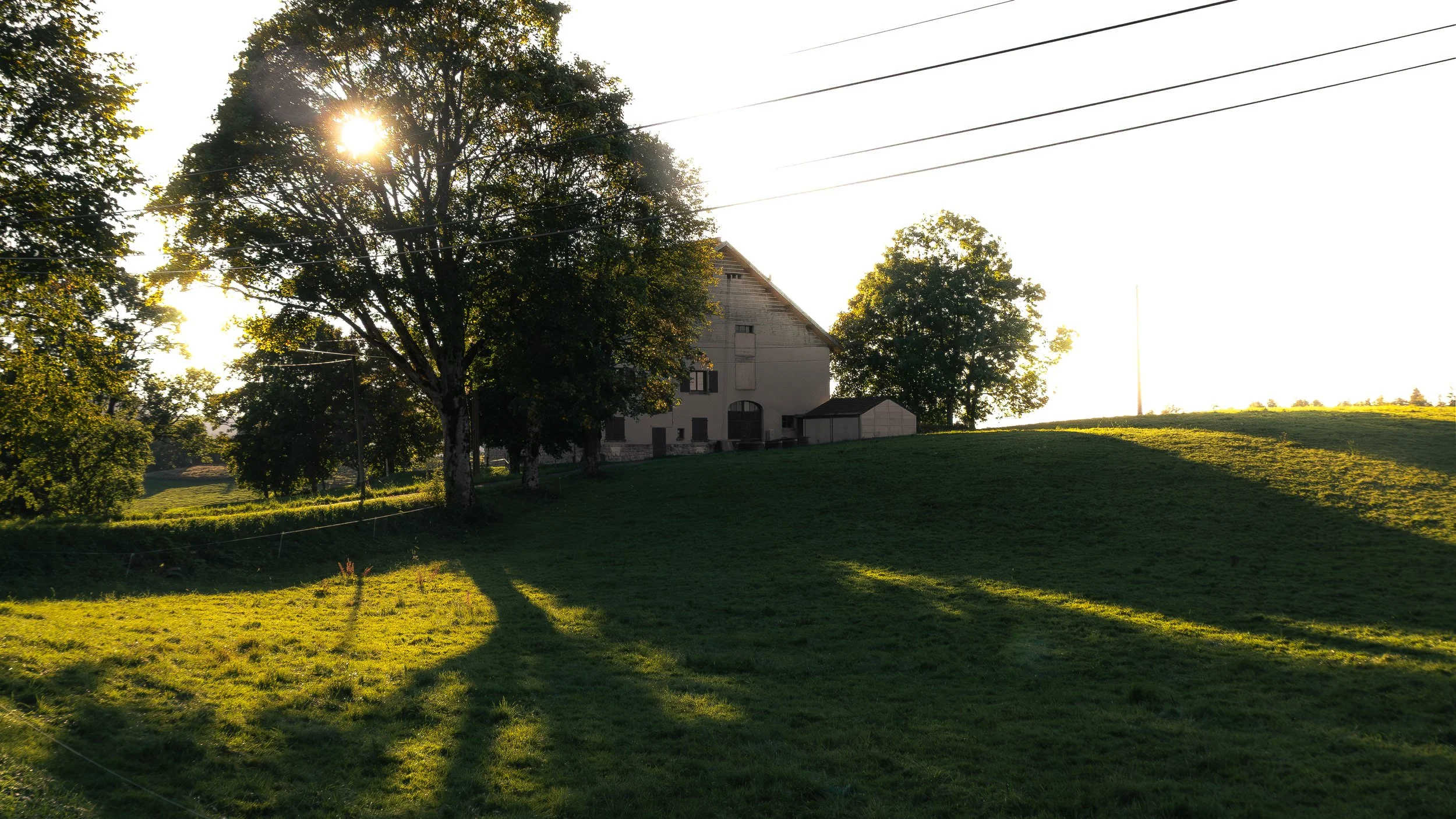 Une maison en pierre entourée d'arbres, avec le soleil brillant derrière le feuillage, en fin d'après-midi ou début de soirée, dans un paysage rural verdoyant.