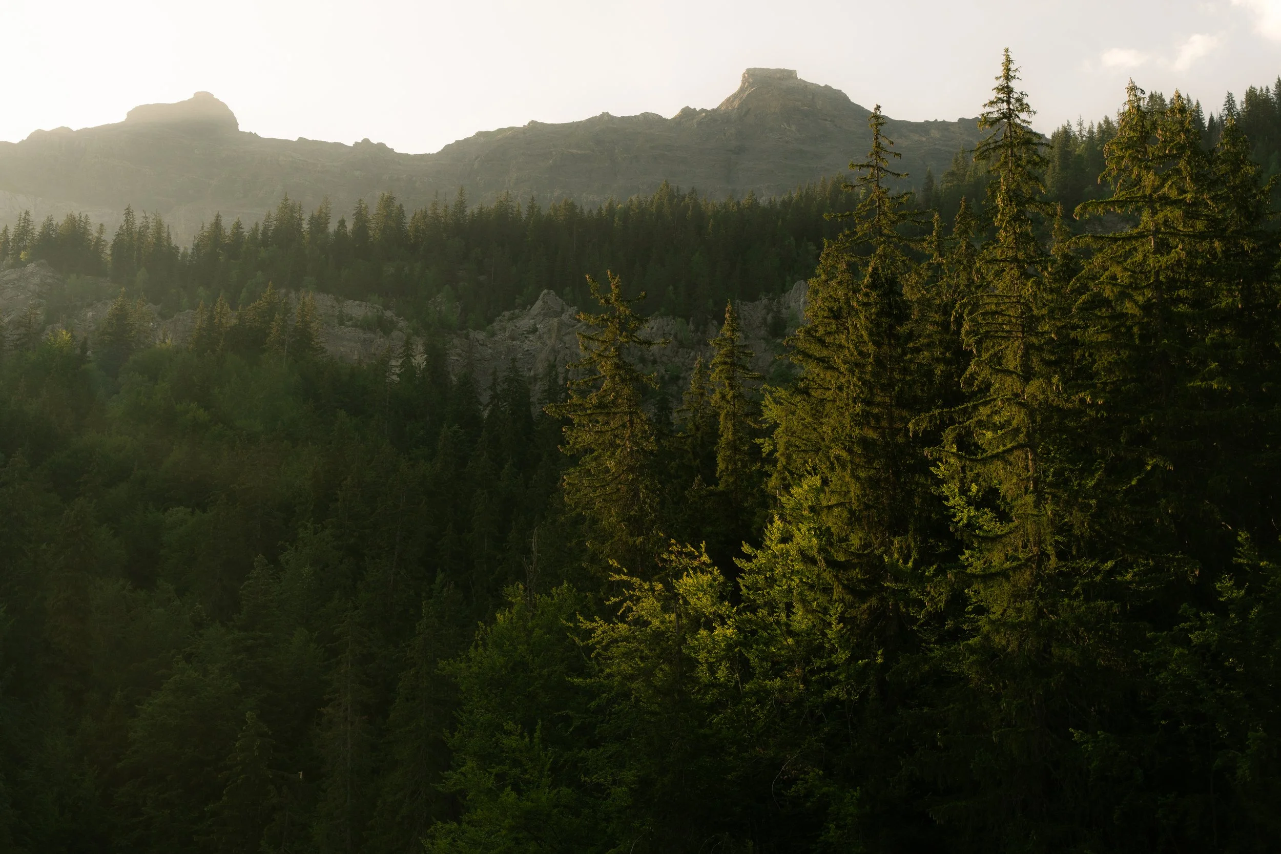 Une montagne escarpée entourée d'une forêt dense de conifères, avec le soleil levant ou couchant.