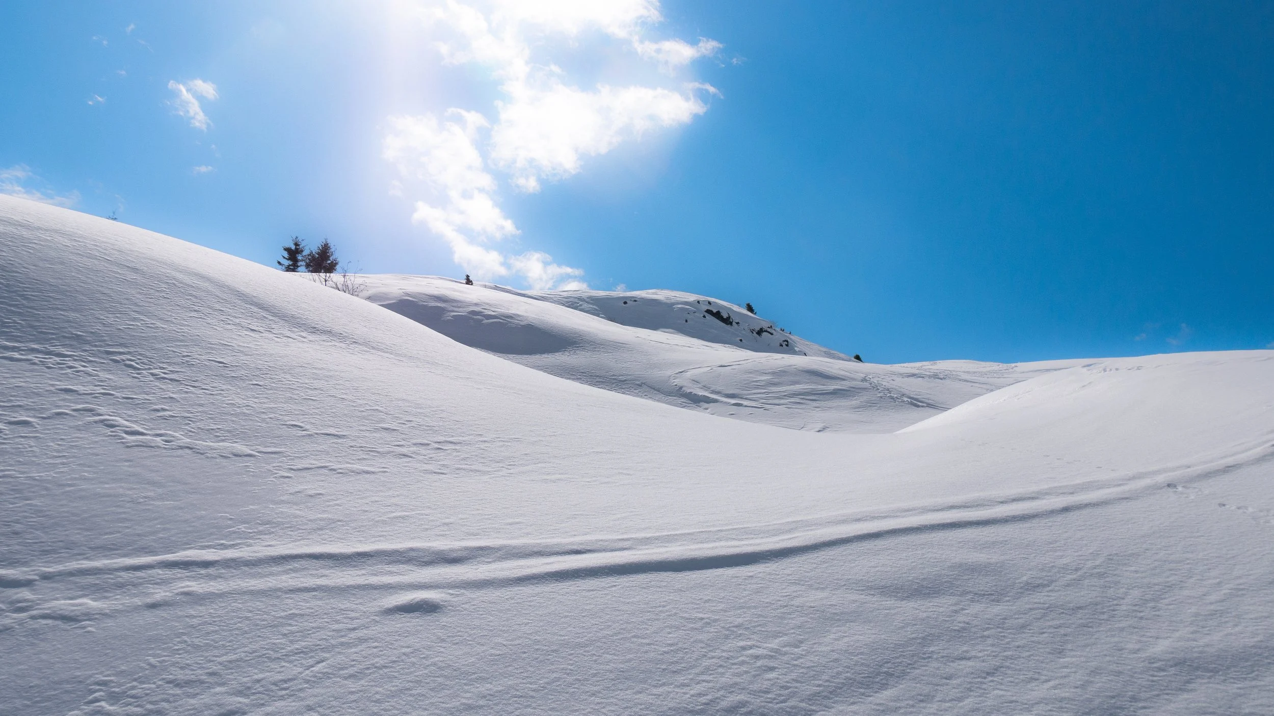 Montagne enneigée sous un ciel bleu avec quelques nuages et des arbres dispersés