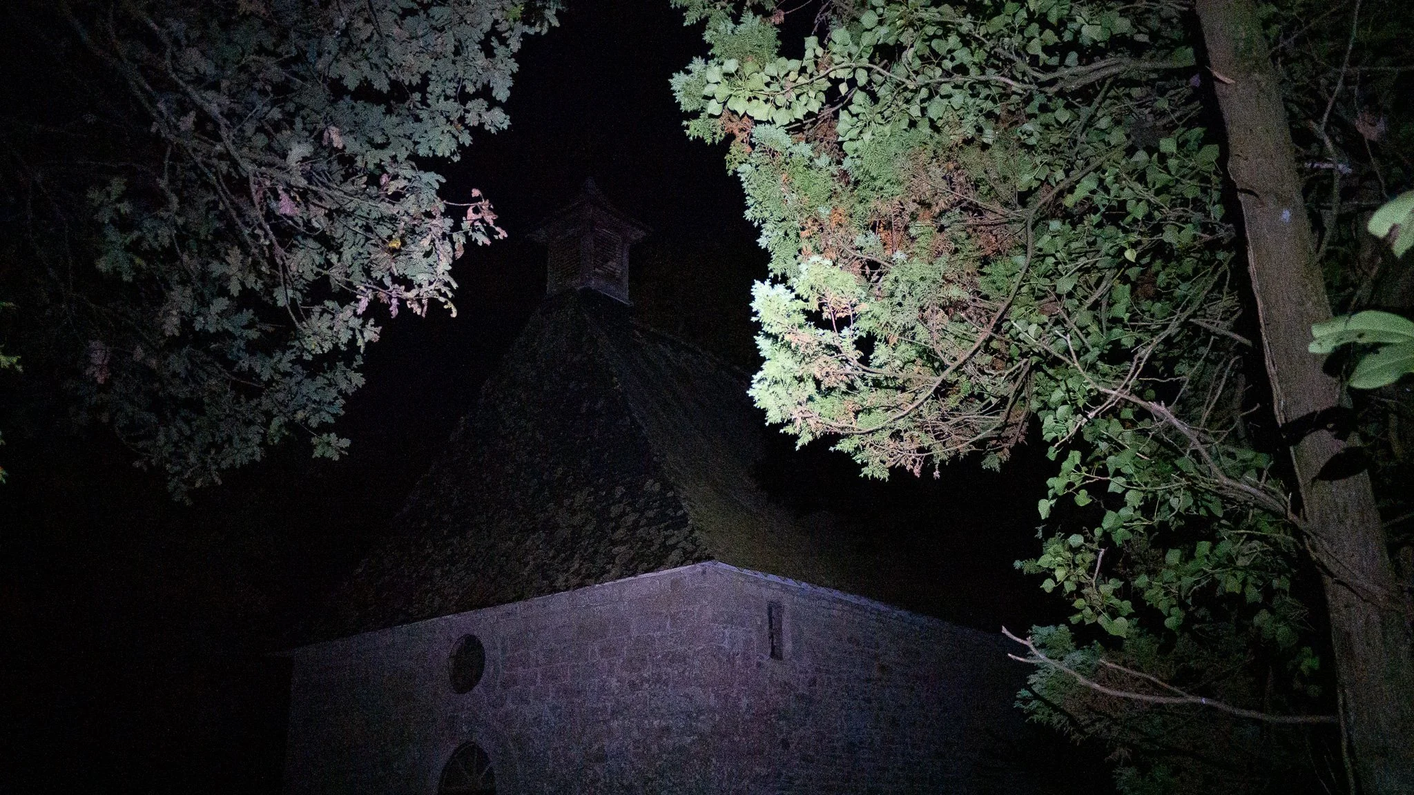 Une vue nocturne d'une tour en pierre entourée de grands arbres avec des feuilles éclairées par une lumière artificielle.