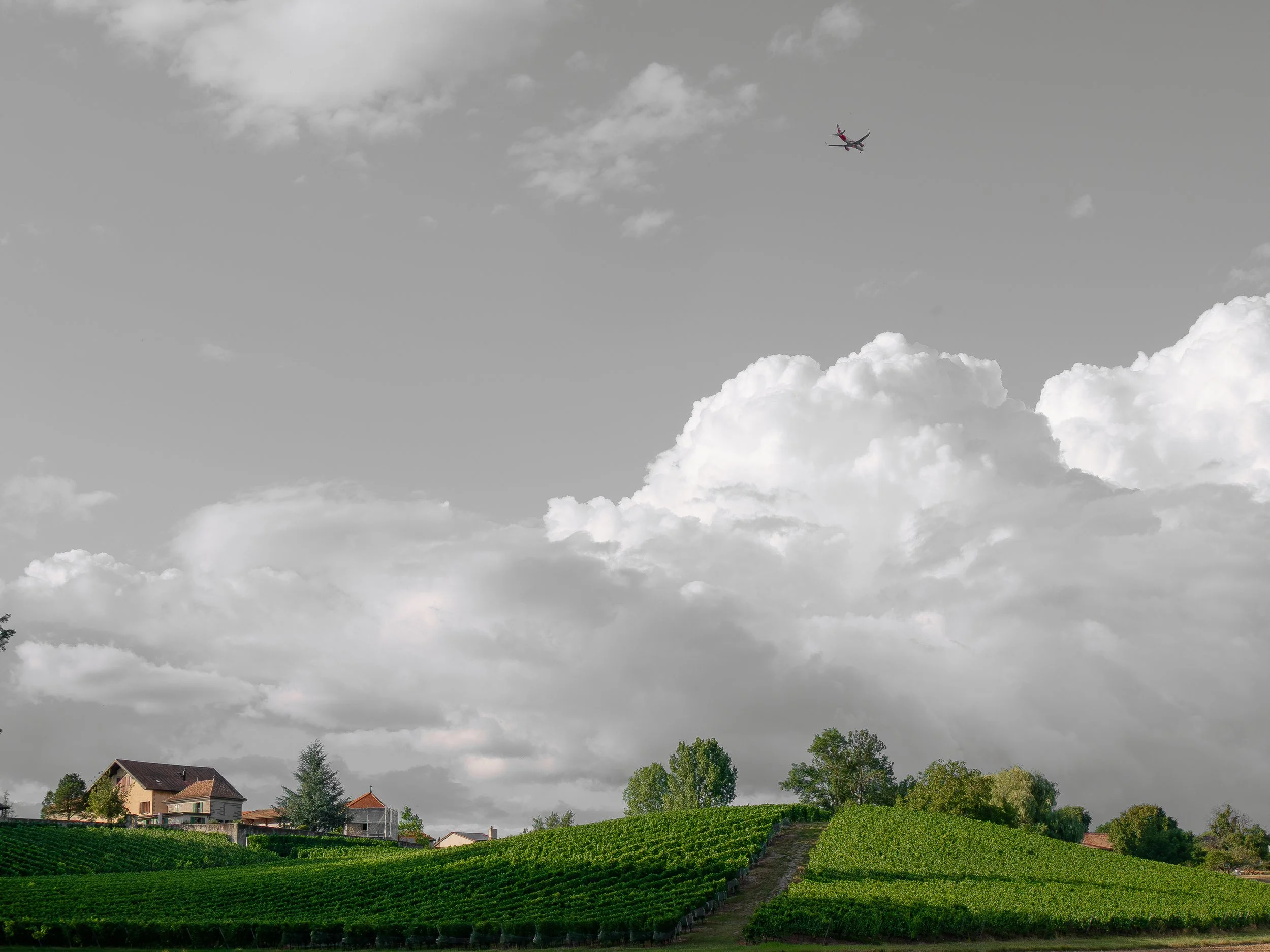 Paysage rural avec des maisons, des arbres et des champs cultivés sous un ciel nuageux, avec un avion volant à haute altitude.