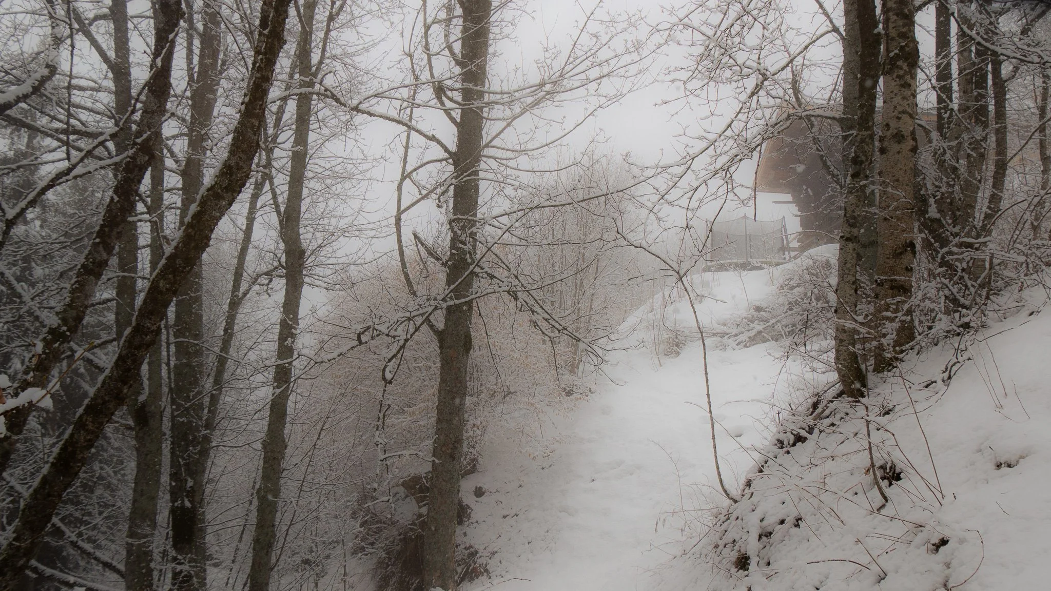 Sentier enneigé dans une forêt avec des arbres recouverts de neige et une maison en arrière-plan dans une ambiance brumeuse d'hiver.
