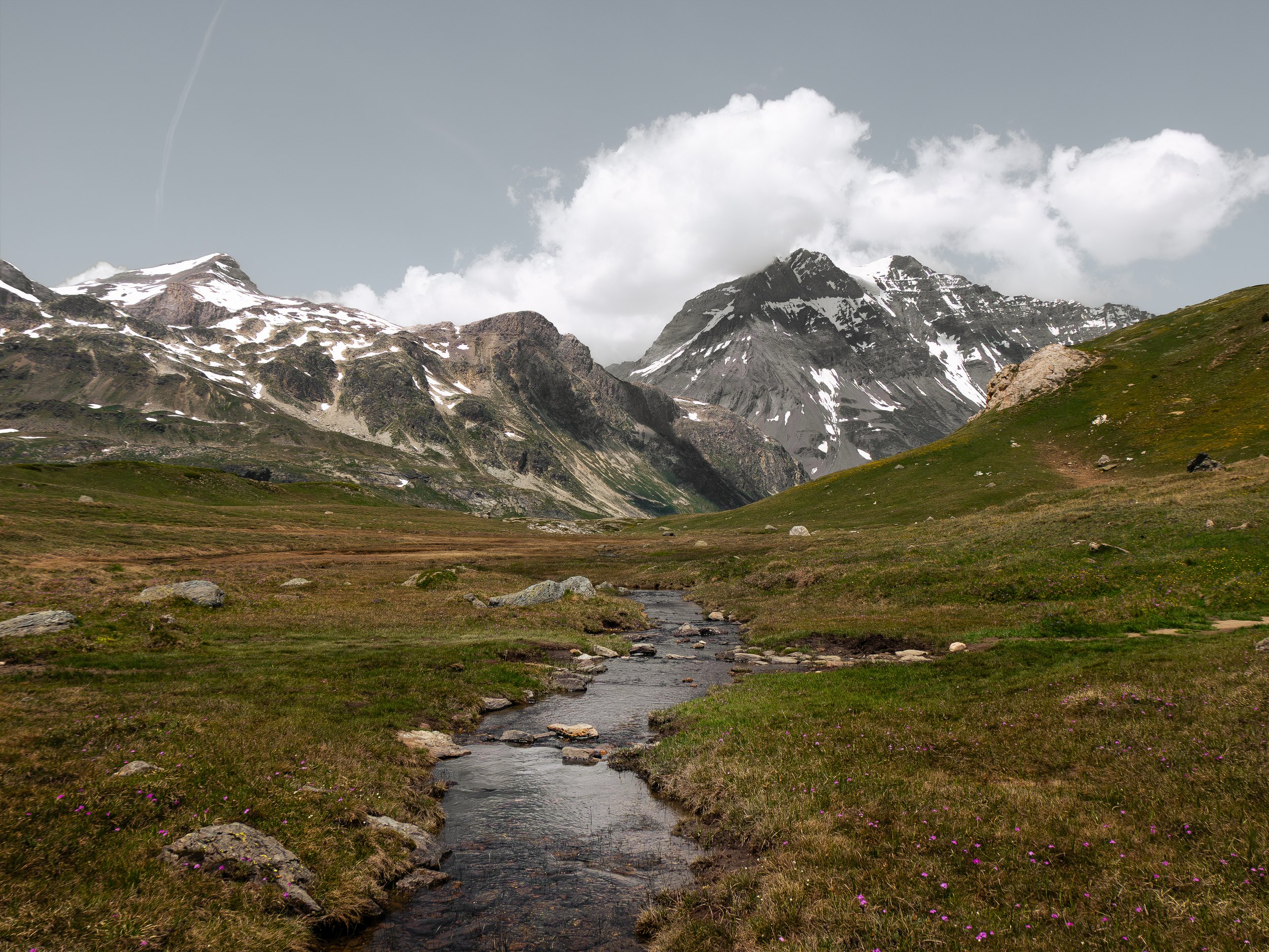 Paysage de montagnes avec sommets enneigés, une rivière traverse un terrain vallonné vert avec des fleurs sauvages.