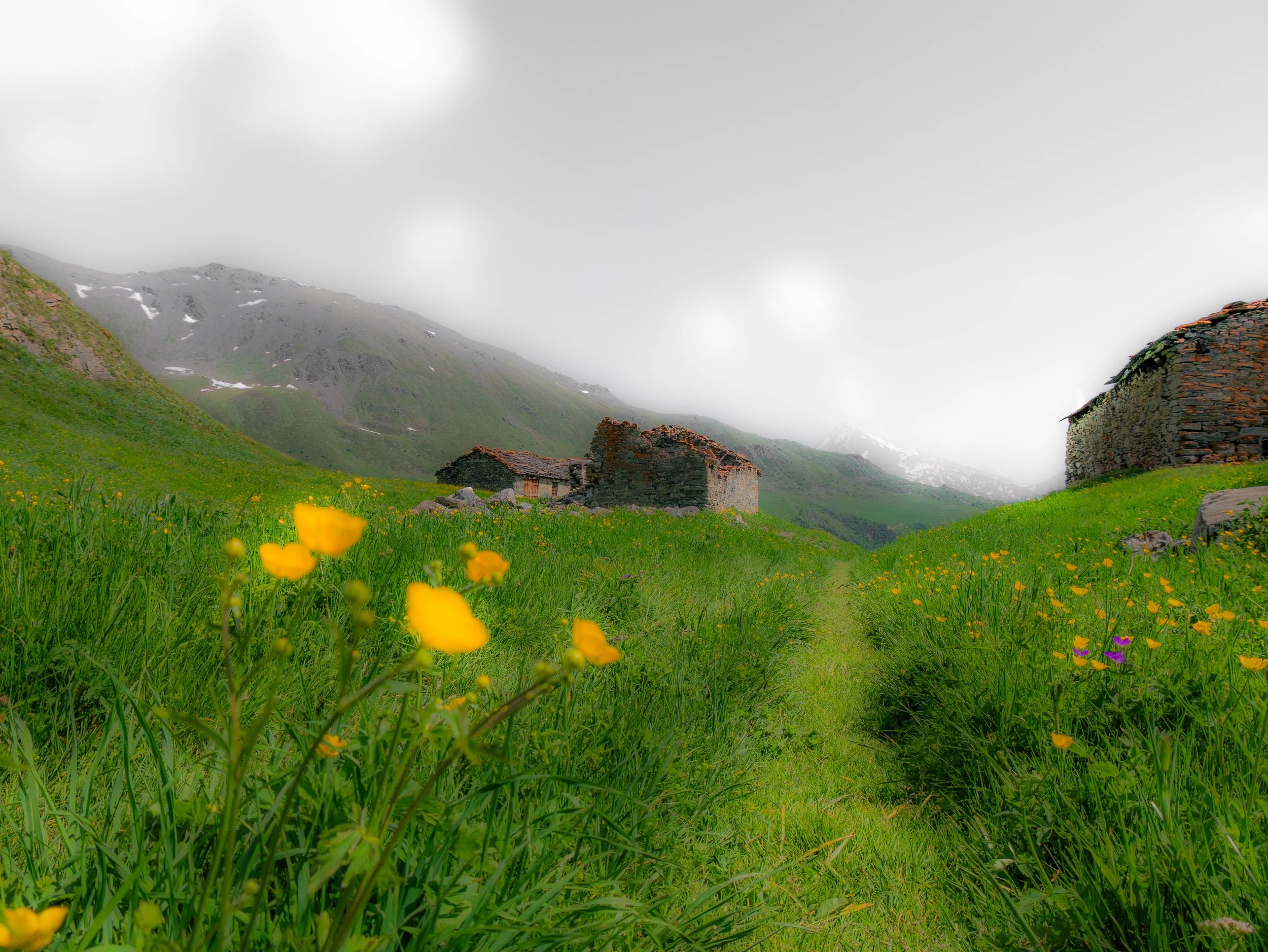 Paysage de montagnes avec des ruines en pierre au premier plan, herbe verte, fleurs jaunes, brouillard et nuages gris au-dessus.