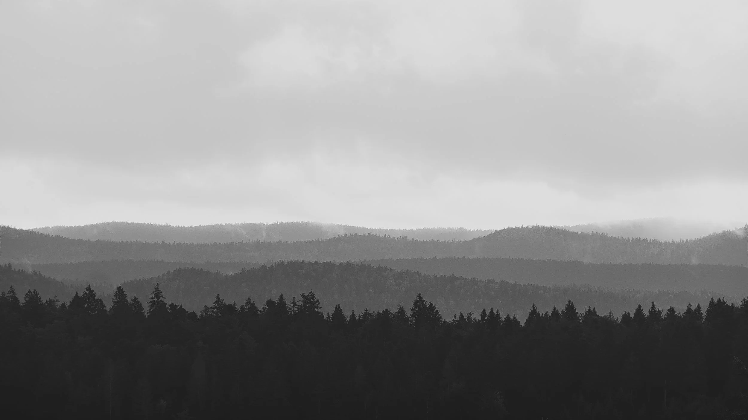 Une vue en noir et blanc de montagnes avec des forêts et des nuages dans le ciel.
