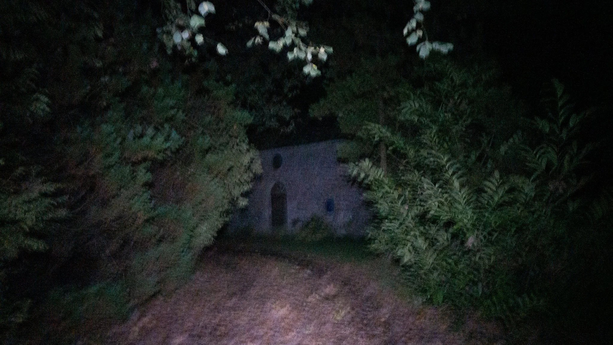 Une scène nocturne montrant un chemin bordé d'arbustes et d'arbres avec une petite maison en arrière-plan, éclairée faiblement, entourée de végétation dense.