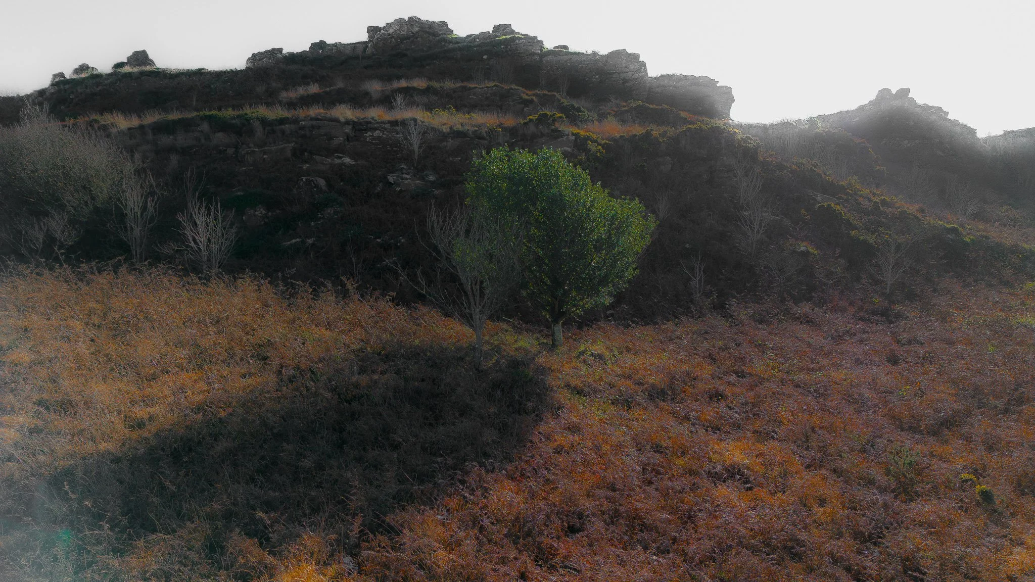 Paysage de montagnes avec arbres verts et feuillus, sous un ciel brumeux.