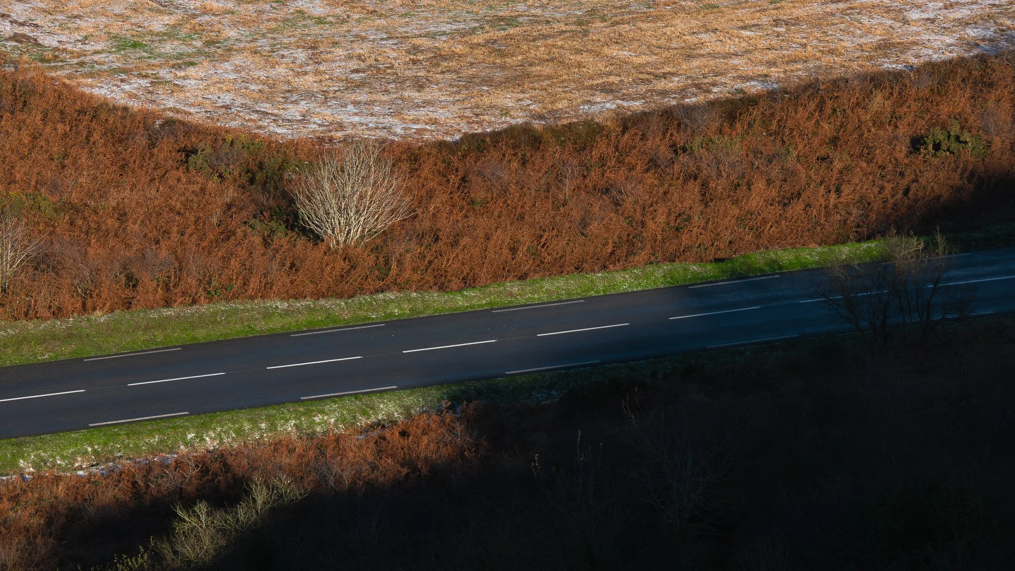 Une route noire avec des lignes blanches, bordée d'une bande de verdure, longeant une pente recouverte de roches et de végétation brune, avec quelques arbres dénudés.