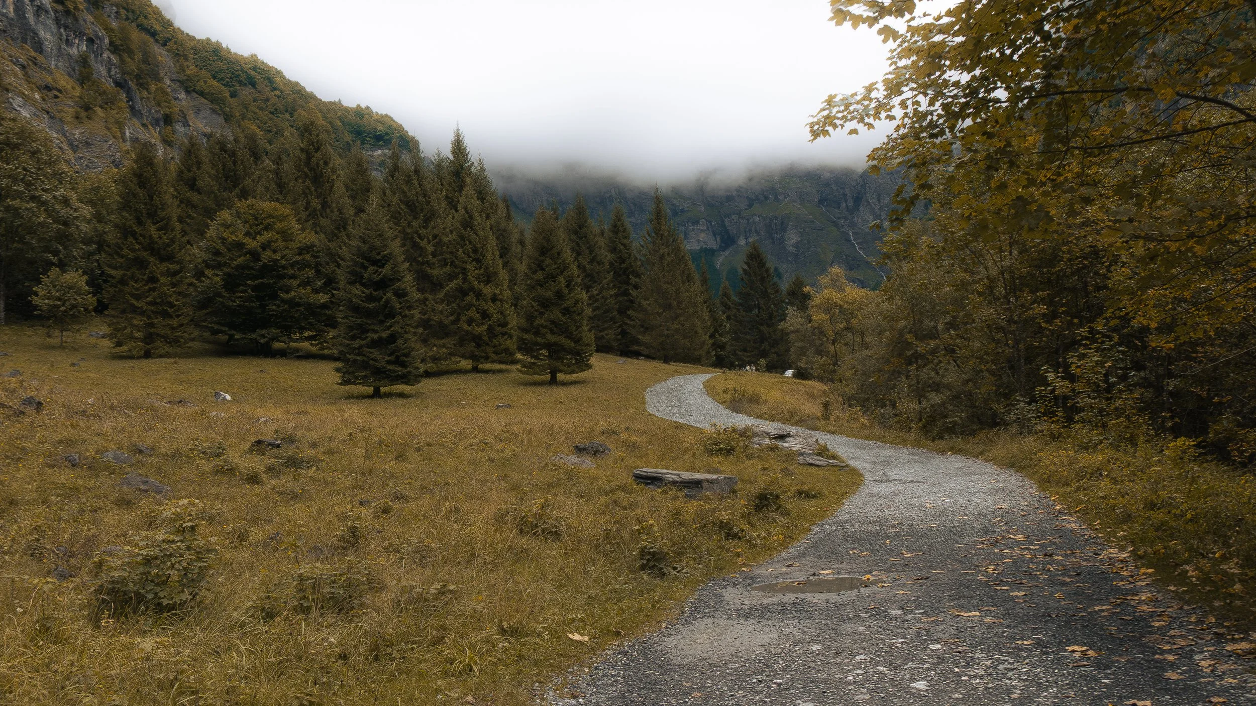 Chemin sinueux à travers un paysage forestier avec des pins, des arbres aux feuilles jaunes, une falaise avec brouillard au sommet et des cascades en arrière-plan, ambiance automnale.