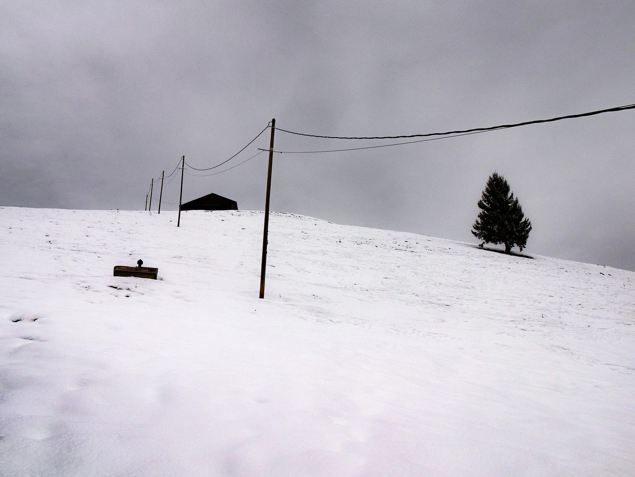 Une étendue de neige recouvre le sol sous un ciel gris. Il y a une rangée de poteaux électriques avec des fils tendus entre eux, une cabane en bois à l'horizon, et un seul arbre à feuilles persistantes au loin.