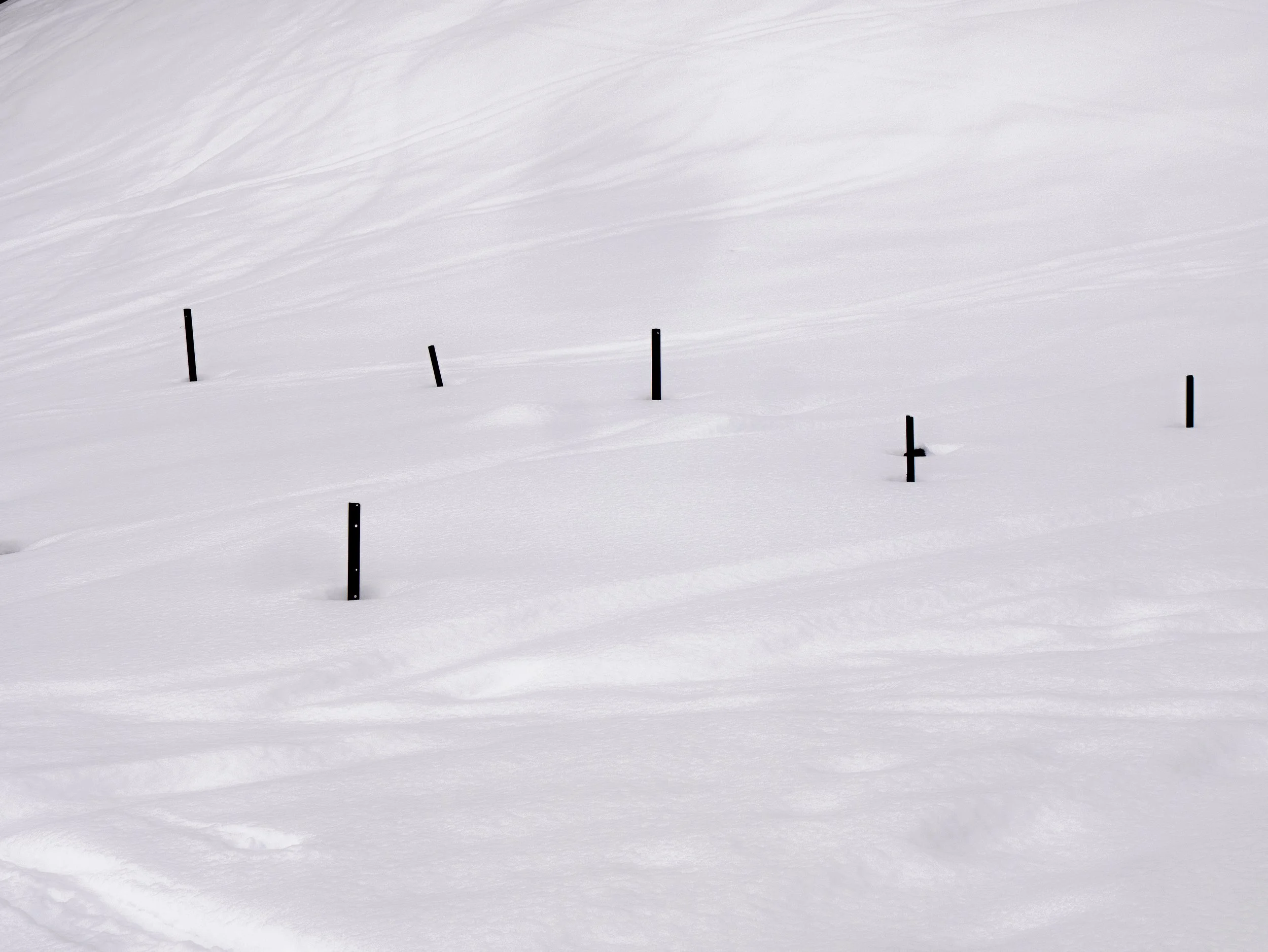 Blanc paysage de neige avec des piquets en bois émergeant de la neige.