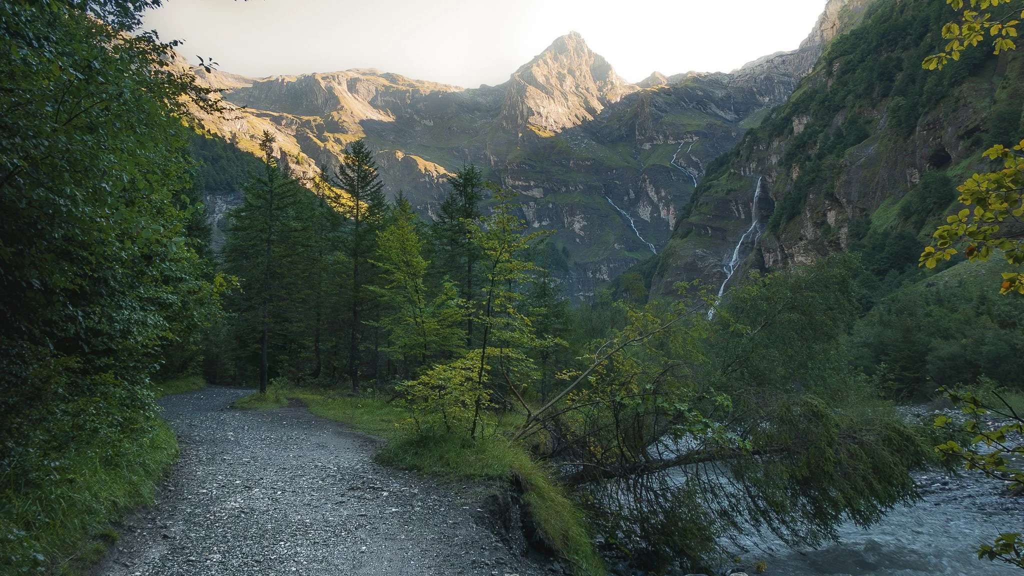 Une vallée montagneuse avec une forêt de conifères, une rivière et des cascades en arrière-plan sous un ciel clair.