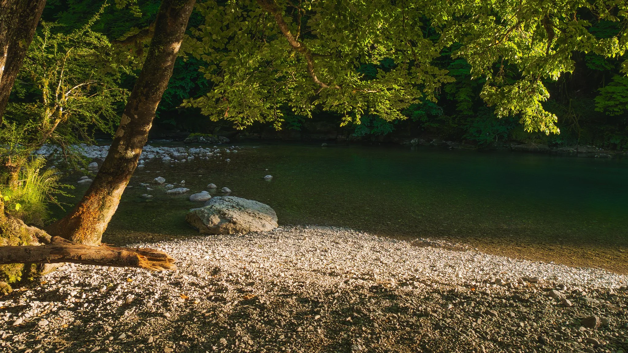 Une scène naturelle de rivière bordée d'arbres verts, avec des feuilles d'arbres en gros plan, des rochers dans l'eau et des cailloux sur la rive.