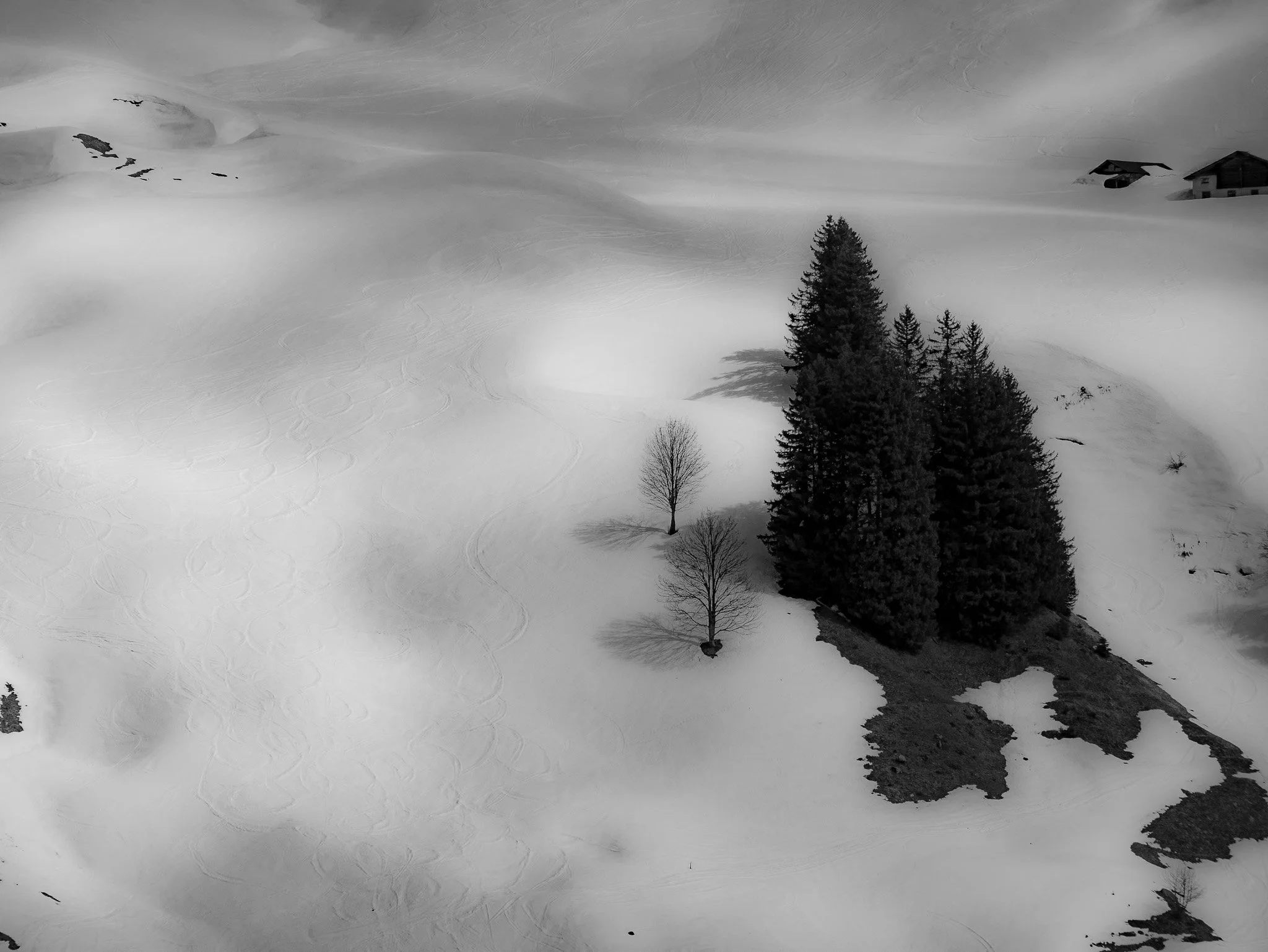 Paysage enneigé avec des arbres, des maisons, et des traces de skis ou de pas dans la neige, en noir et blanc