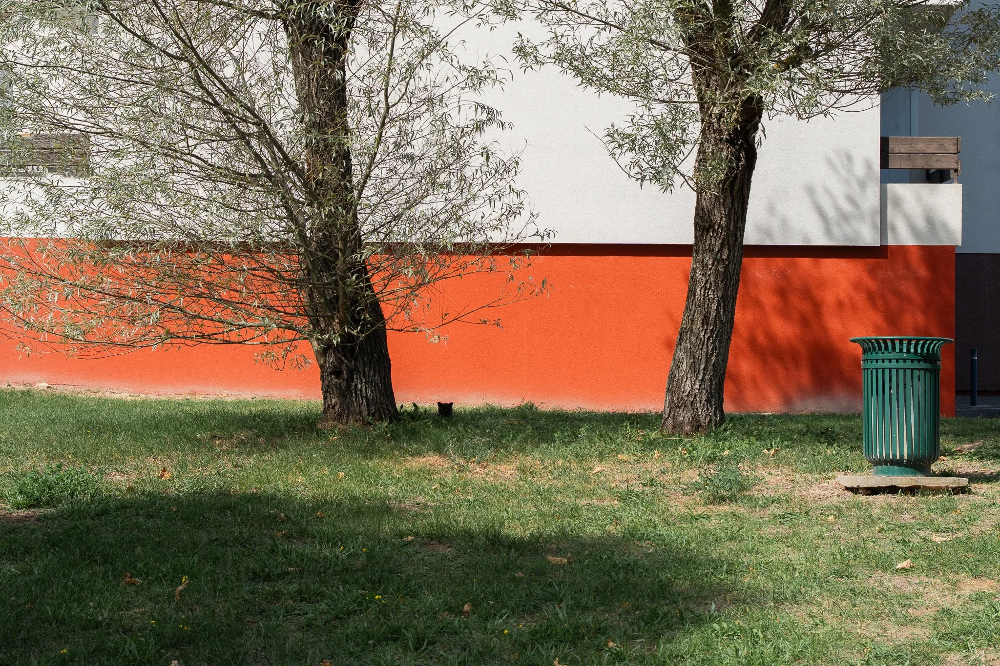 Deux arbres avec des troncs épais et des feuilles fines se tiennent devant un mur de couleur orange, blanc et gris. Il y a une poubelle verte à côté d'une petite table en métal noire. Un petit animal noir, probablement un chat, est assis à l'ombre des arbres.