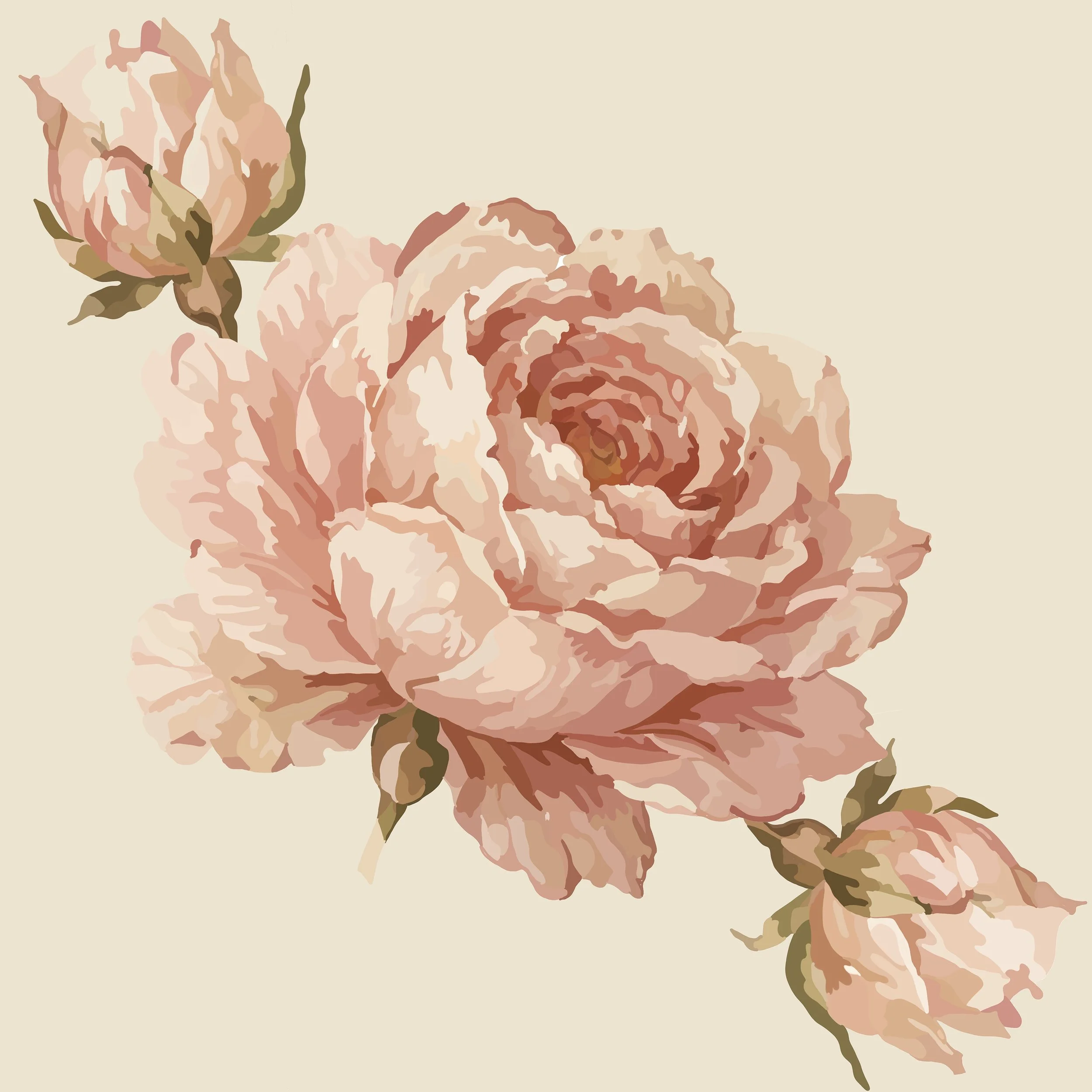 English rose-12in-300dpi.jpg