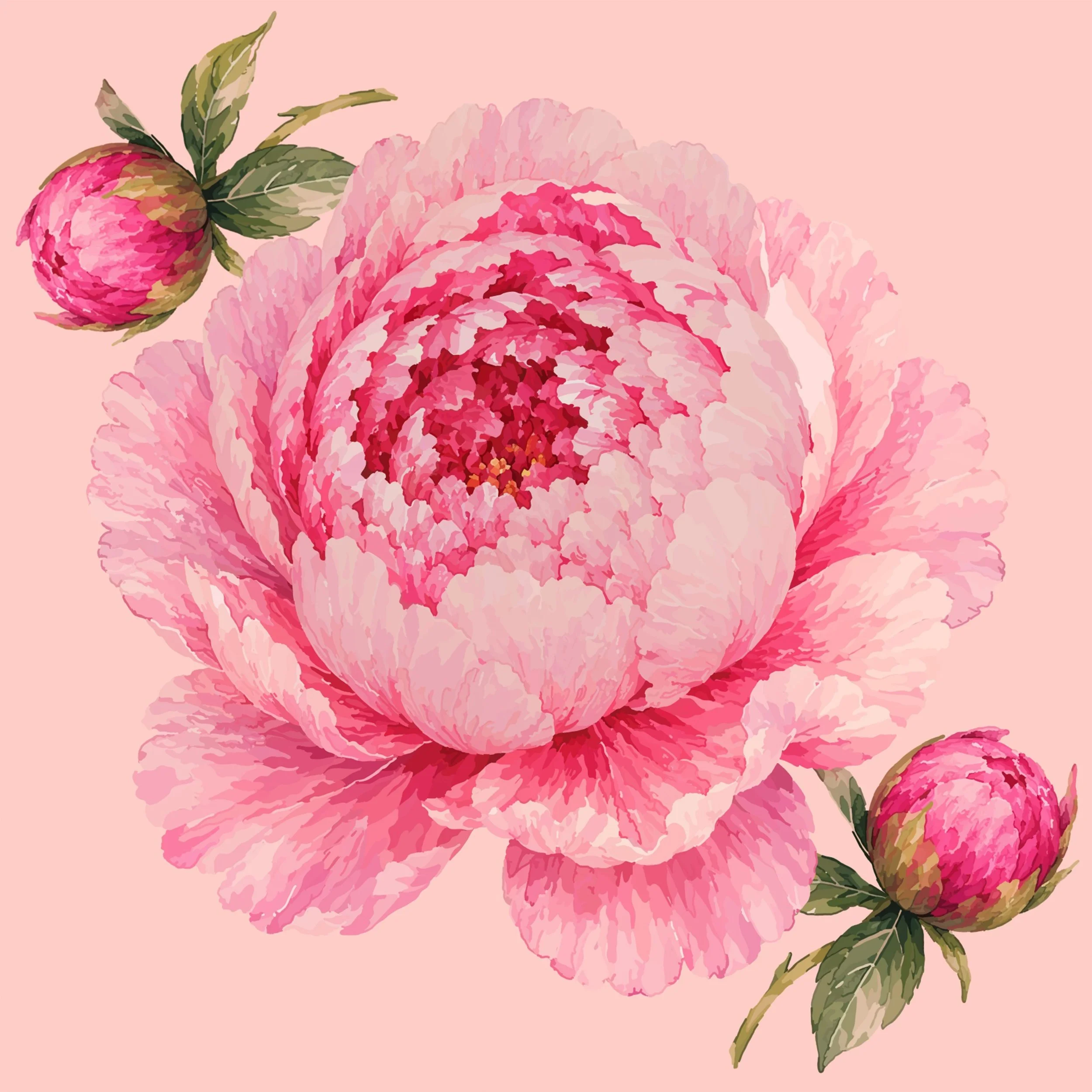 Midsummer Peony — Seamless Pattern