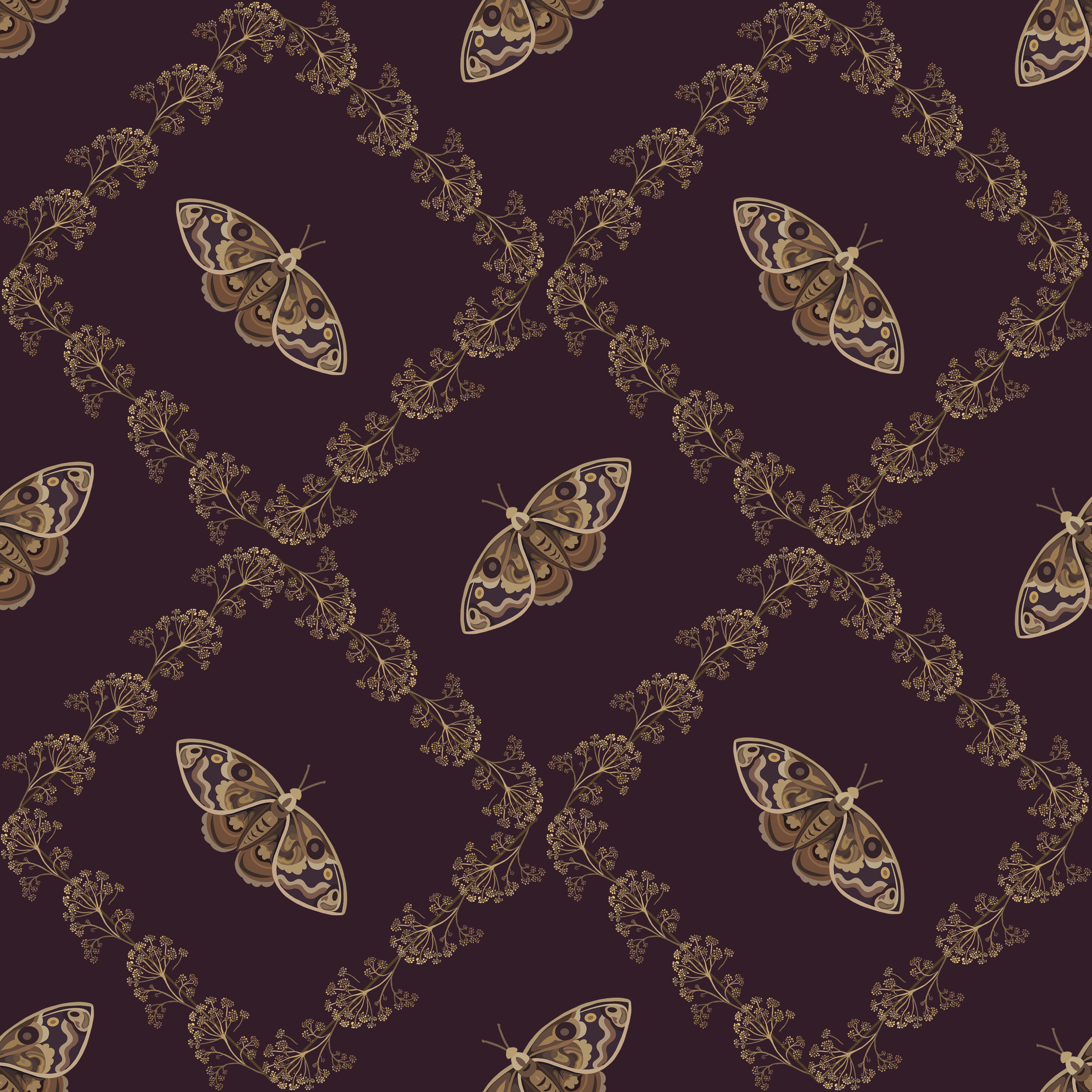 Moths at Midnight