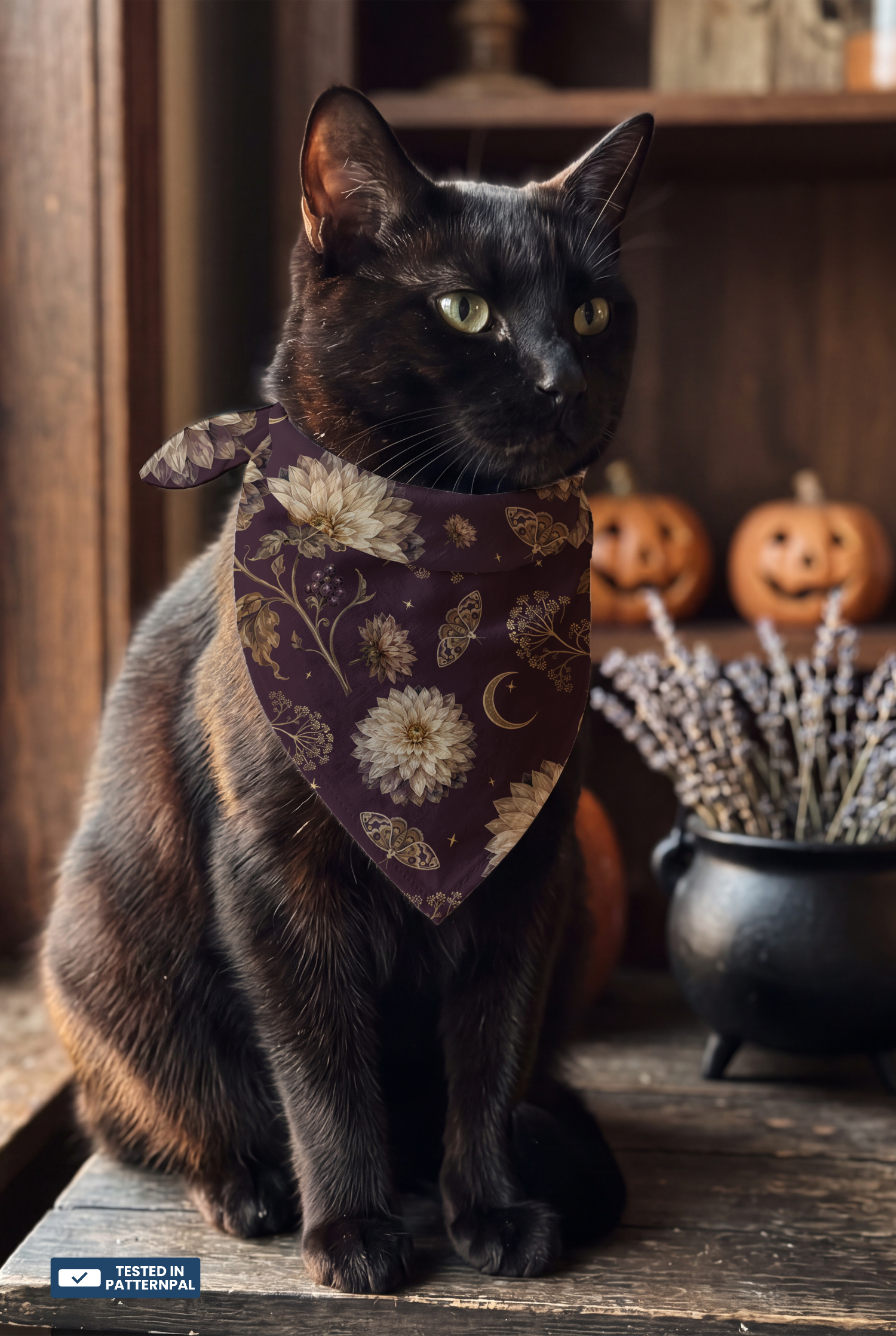 Cat Purple Dahlia Moon Flattened-cat-bandana-full-size.png